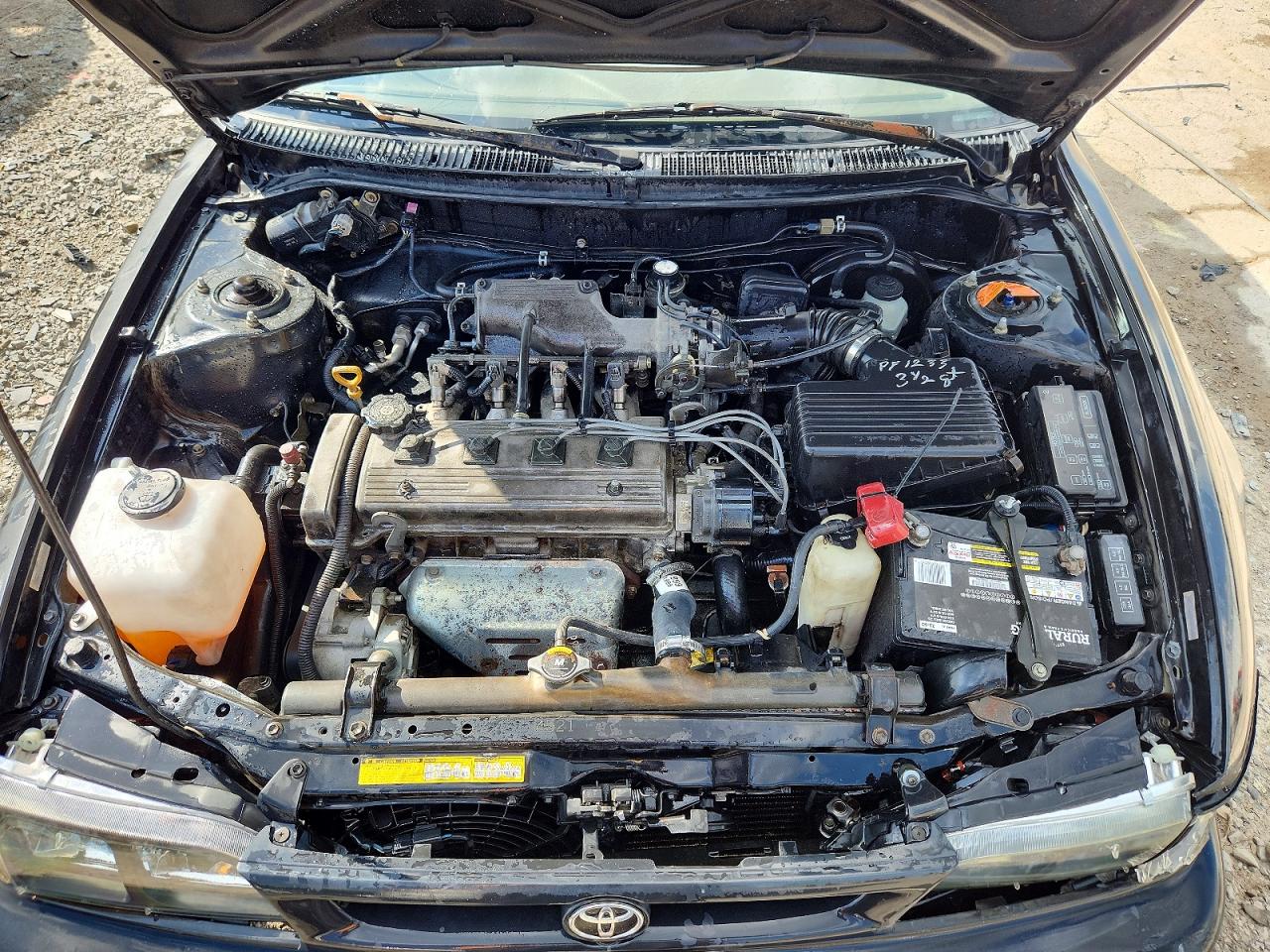 1996 Toyota Corolla Base Gray vin: 2T1BA02E8TC135266