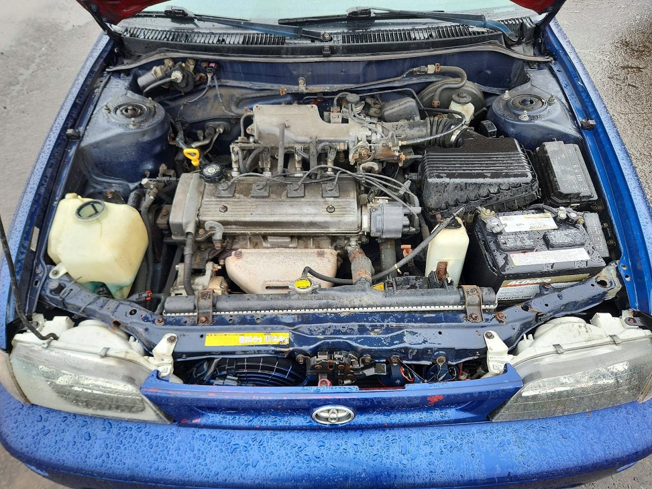 1996 Toyota Corolla Синий vin: 2T1BA02E9TC146065