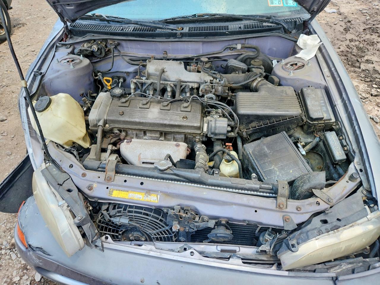 1997 Toyota Corolla Base Серый vin: 2T1BA02EXVC185072