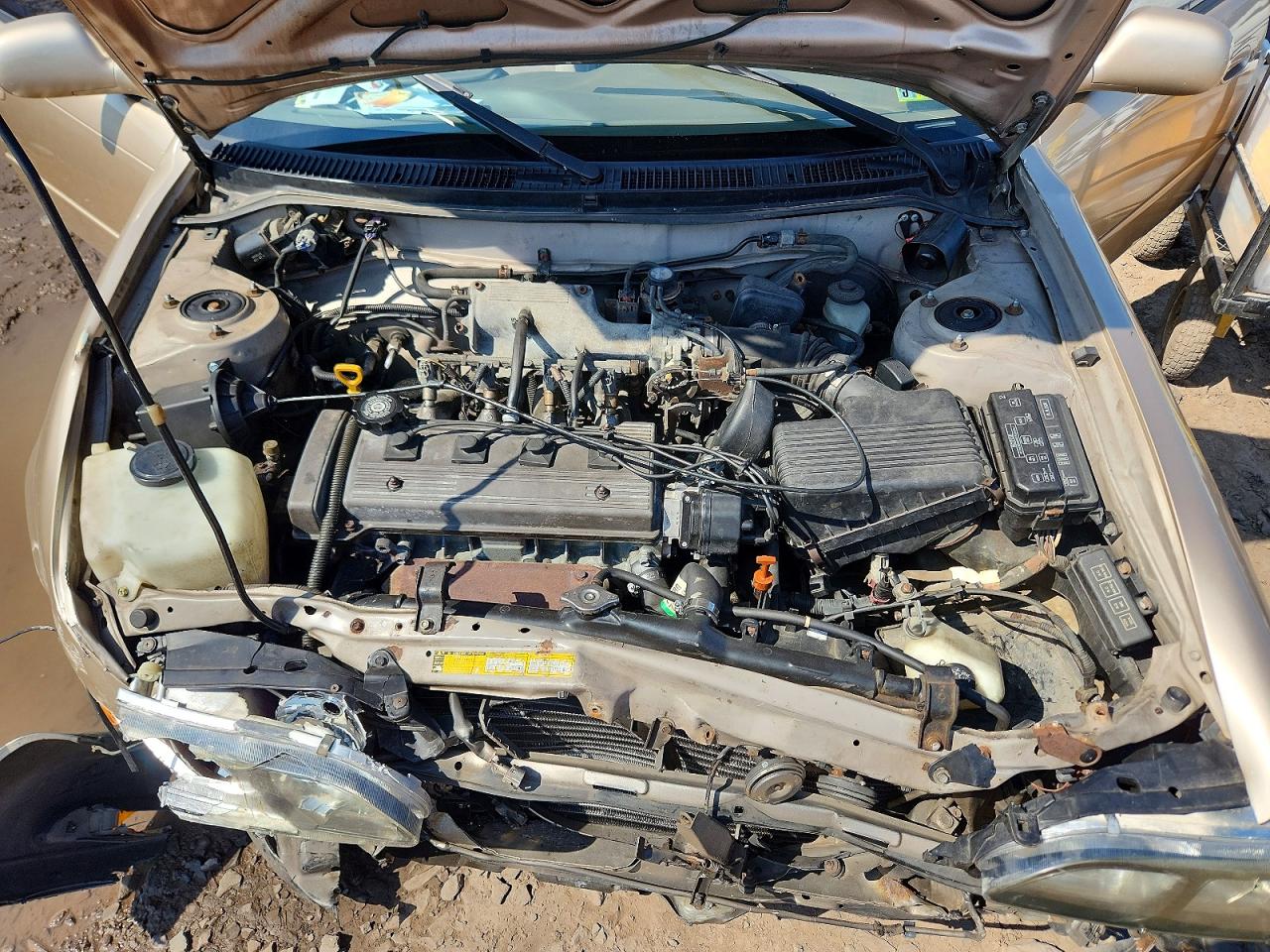 1997 Toyota Corolla Dx Tan vin: 2T1BB02E7VC193935