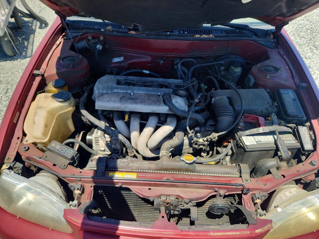 1999 Toyota Corolla Ve Бордовый vin: 2T1BR12E1XC124839