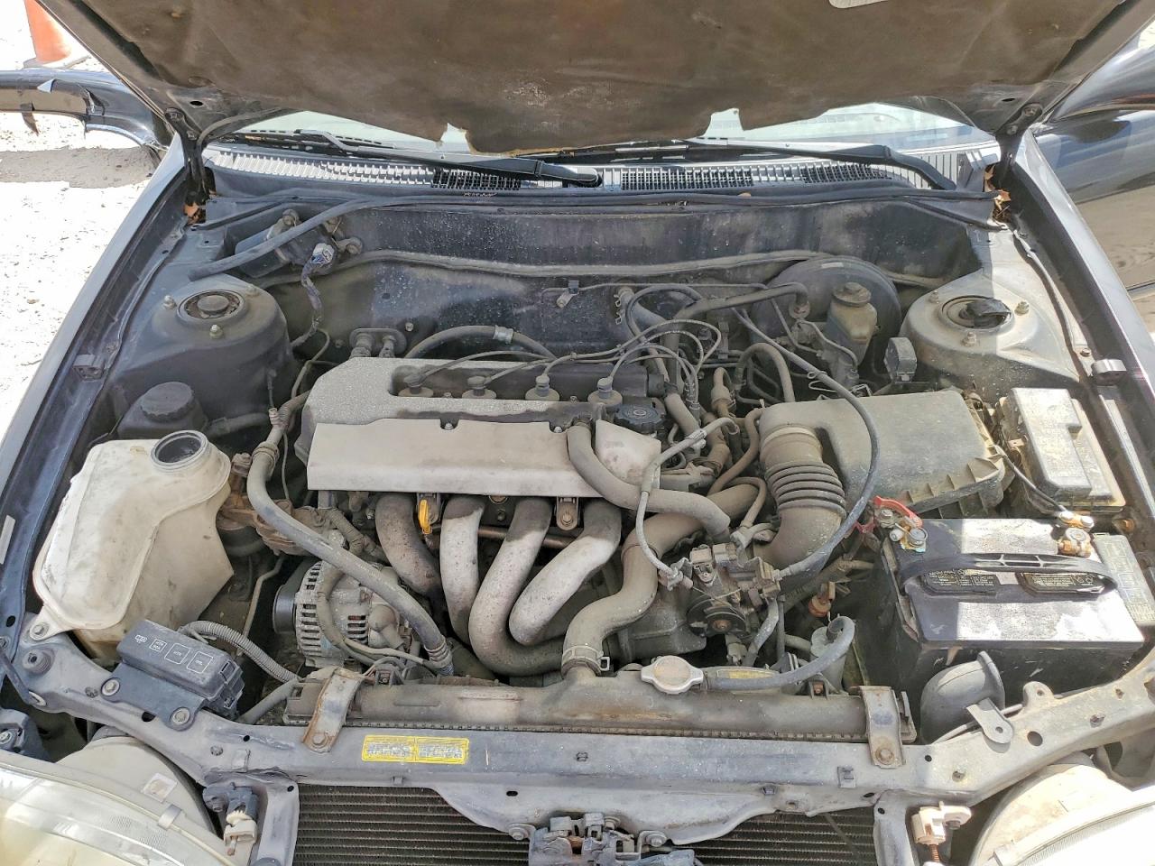 1998 Toyota Corolla Black vin: 2T1BR12EXWC072951