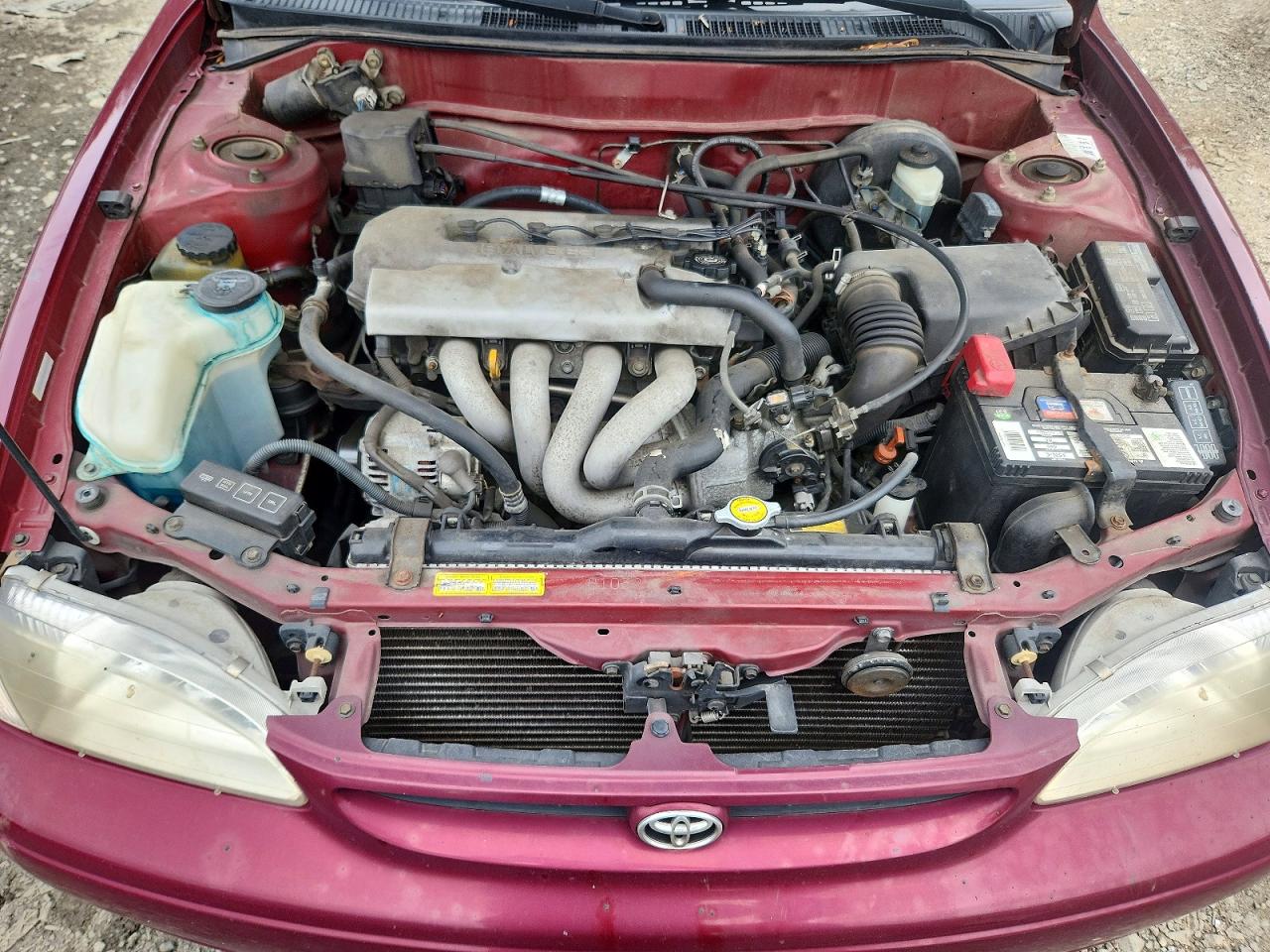 1998 Toyota Corolla Ve Бордовый vin: 2T1BR18E1WC092433