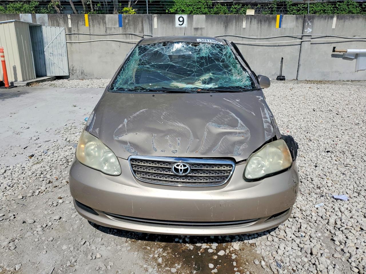 2006 Toyota Corolla Le Gold vin: 2T1BR32E06C644959