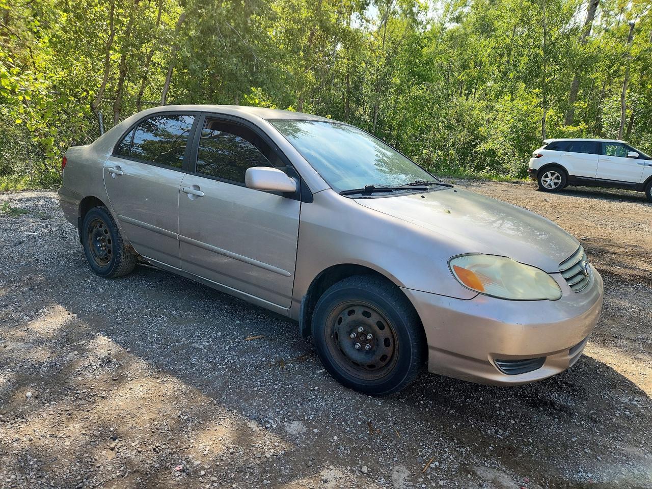 2003 Toyota Corolla Ce Желто-коричневый vin: 2T1BR32E43C712837