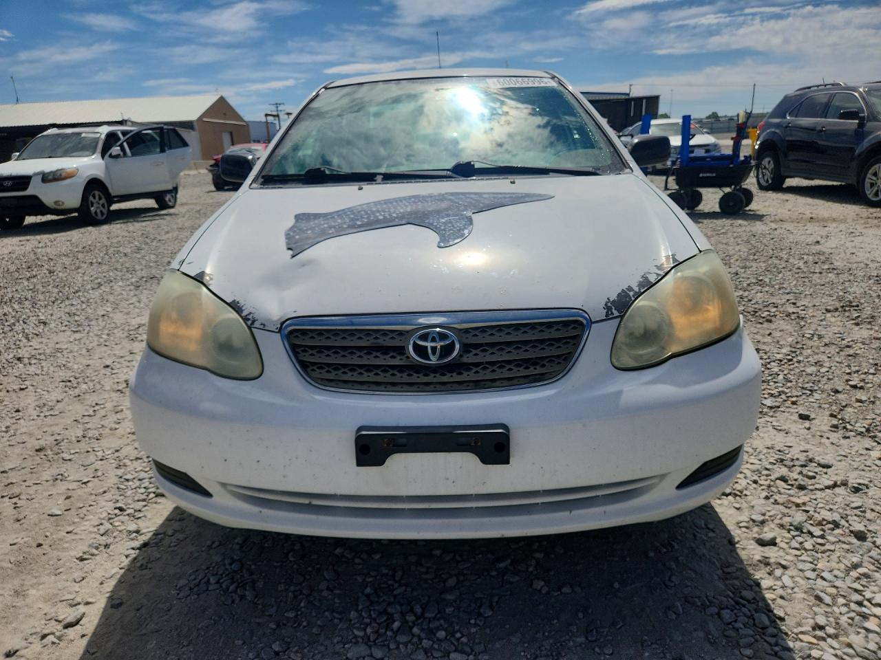2006 Toyota Corolla Ce Белый vin: 2T1BR32E56C634265