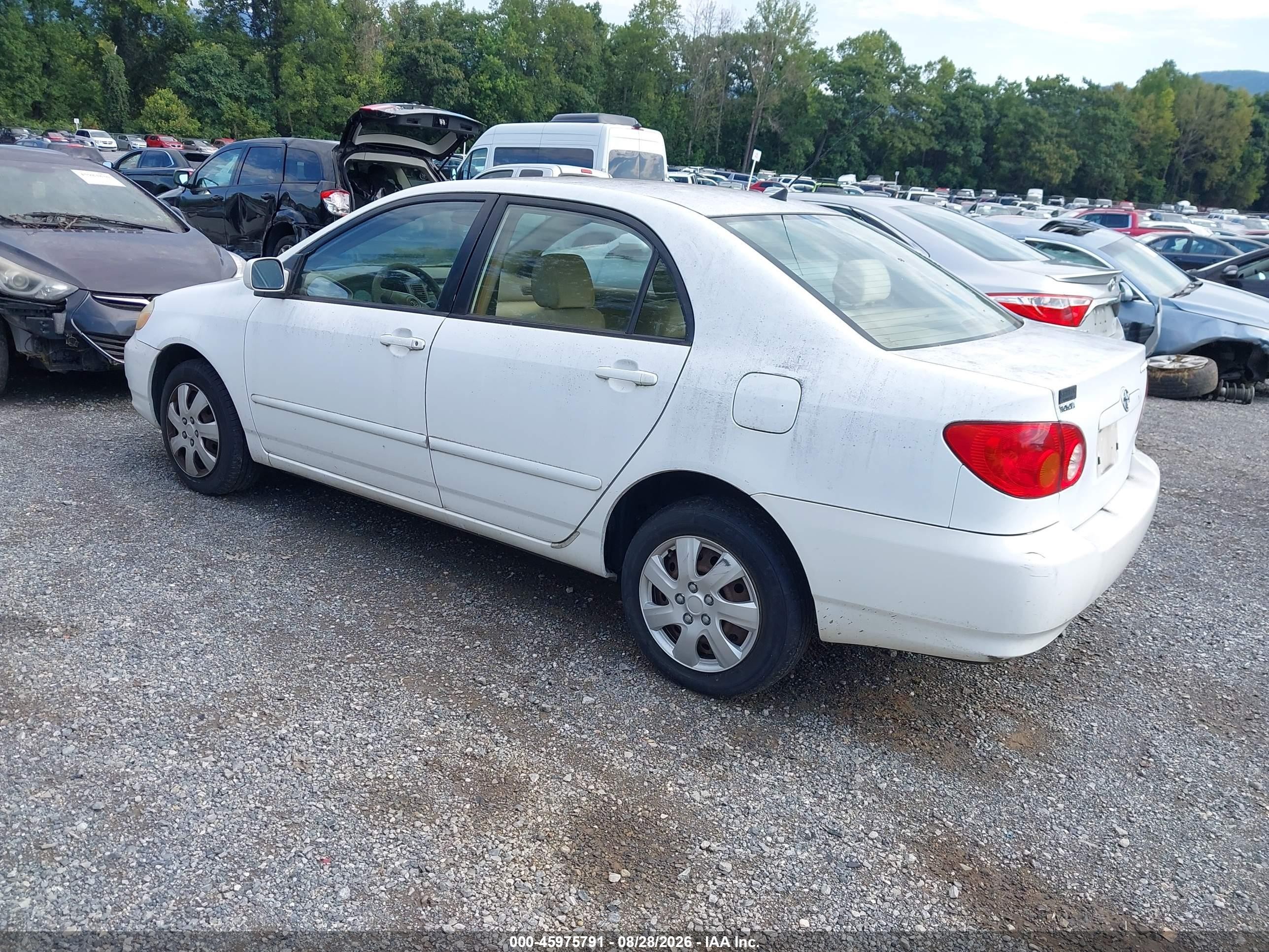 2004 Toyota Corolla Le Белый vin: 2T1BR32E94C182124