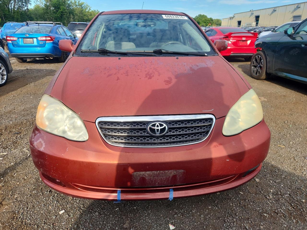 2006 Toyota Corolla Le Burgundy vin: 2T1BR32E96C577648