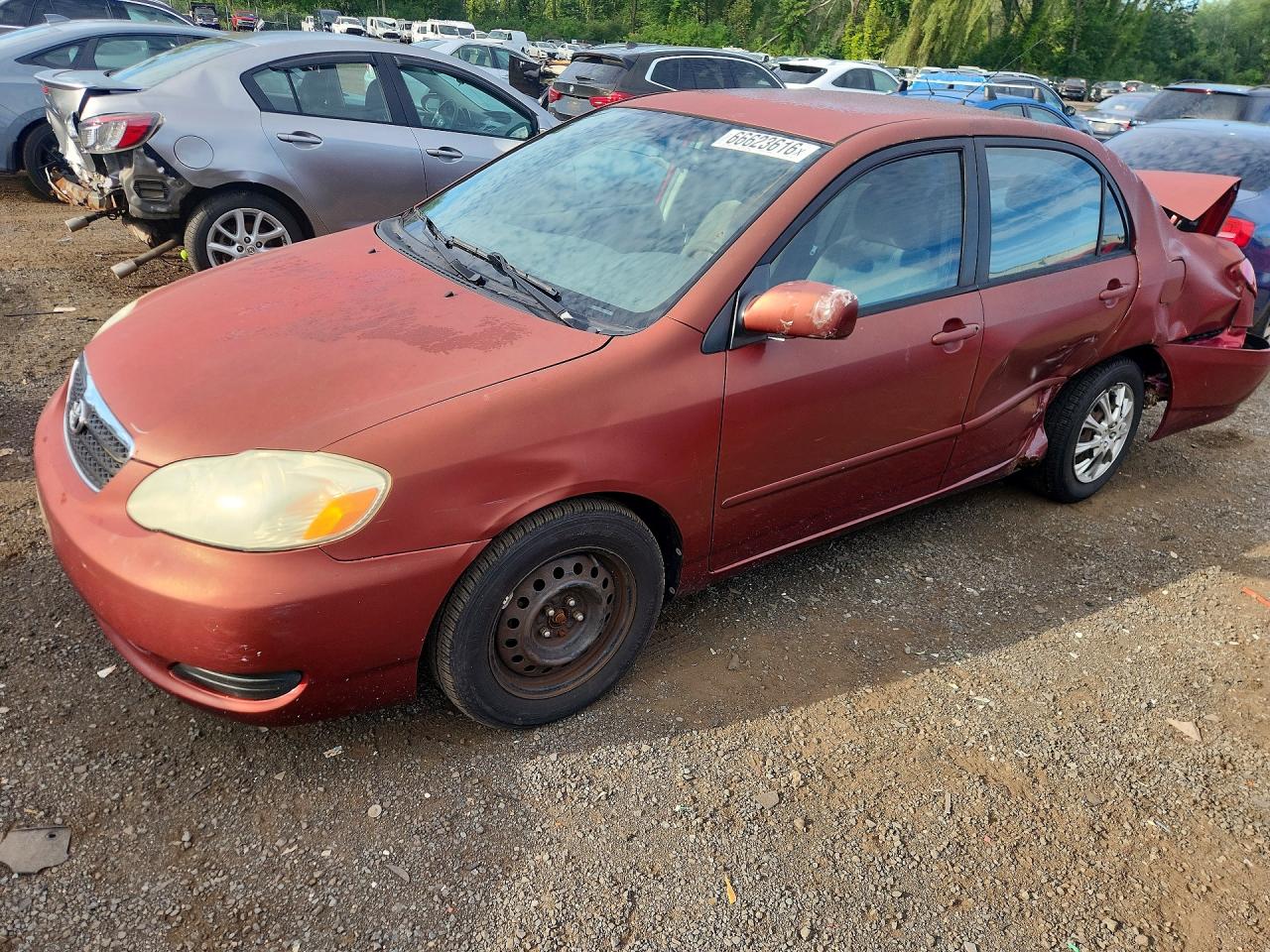 2006 Toyota Corolla Le Бордовый vin: 2T1BR32E96C577648