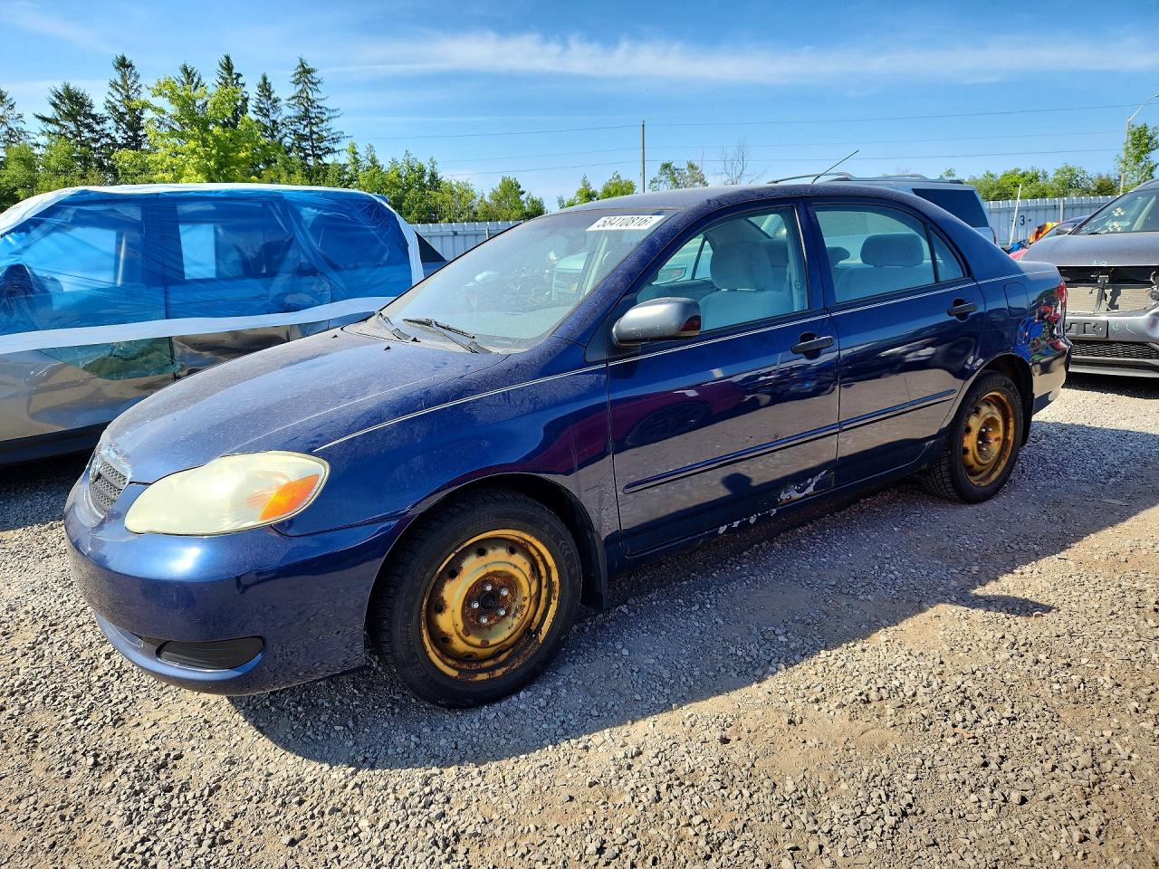 2T1BR32E96C601186