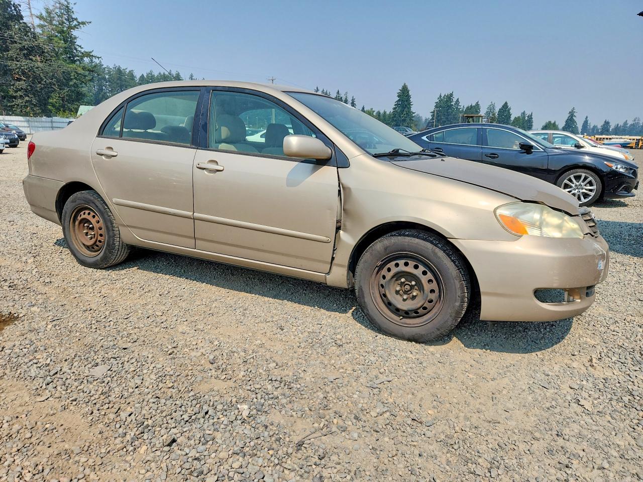 2006 Toyota Corolla Le Beige vin: 2T1BR32E96C629151