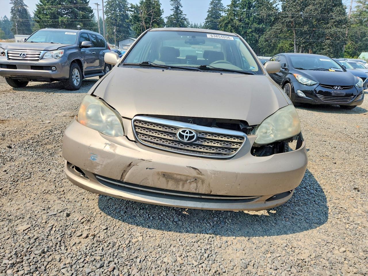 2006 Toyota Corolla Le Beige vin: 2T1BR32E96C629151