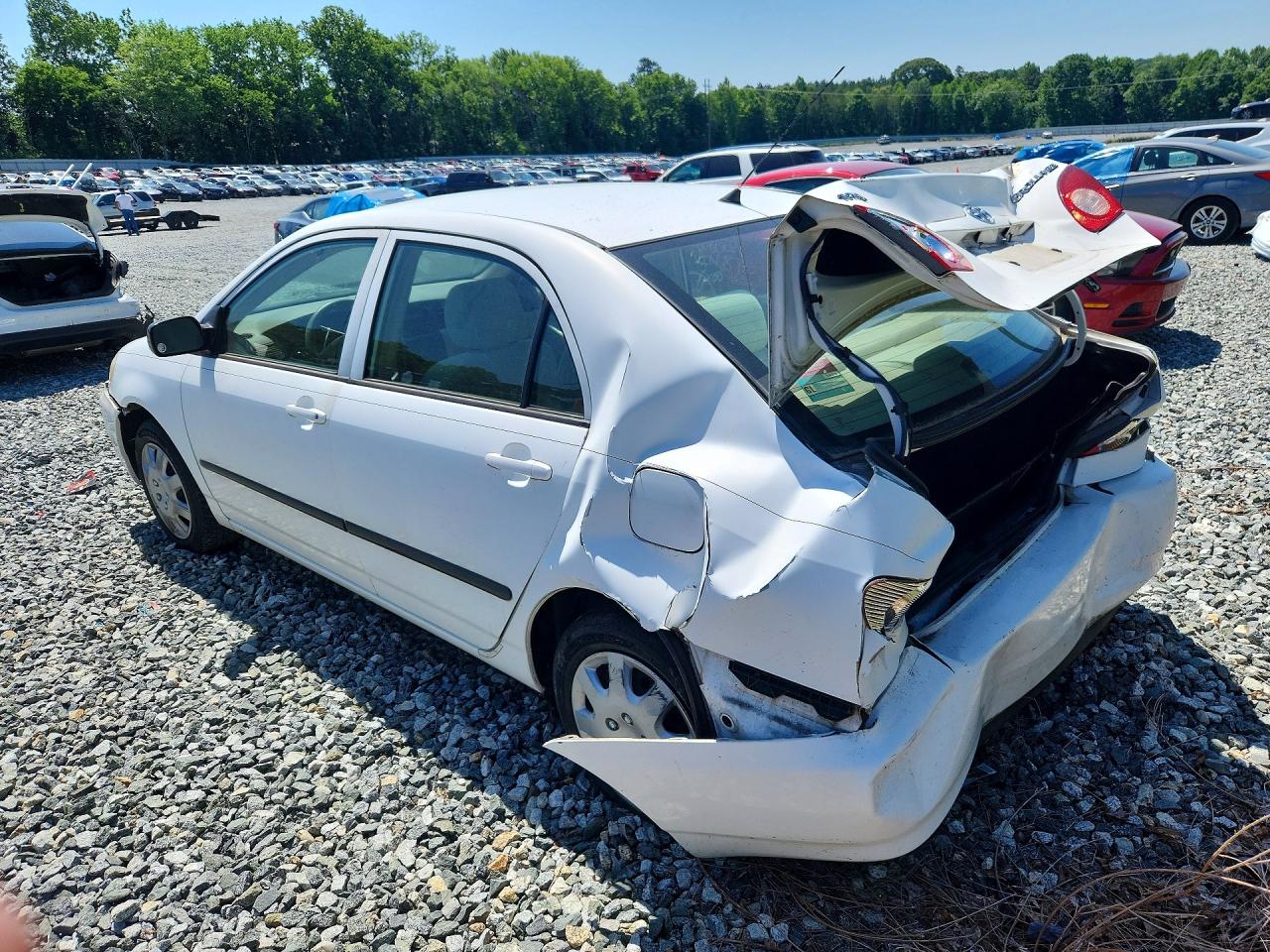 2007 Toyota Corolla White vin: 2T1BR32E97C828735