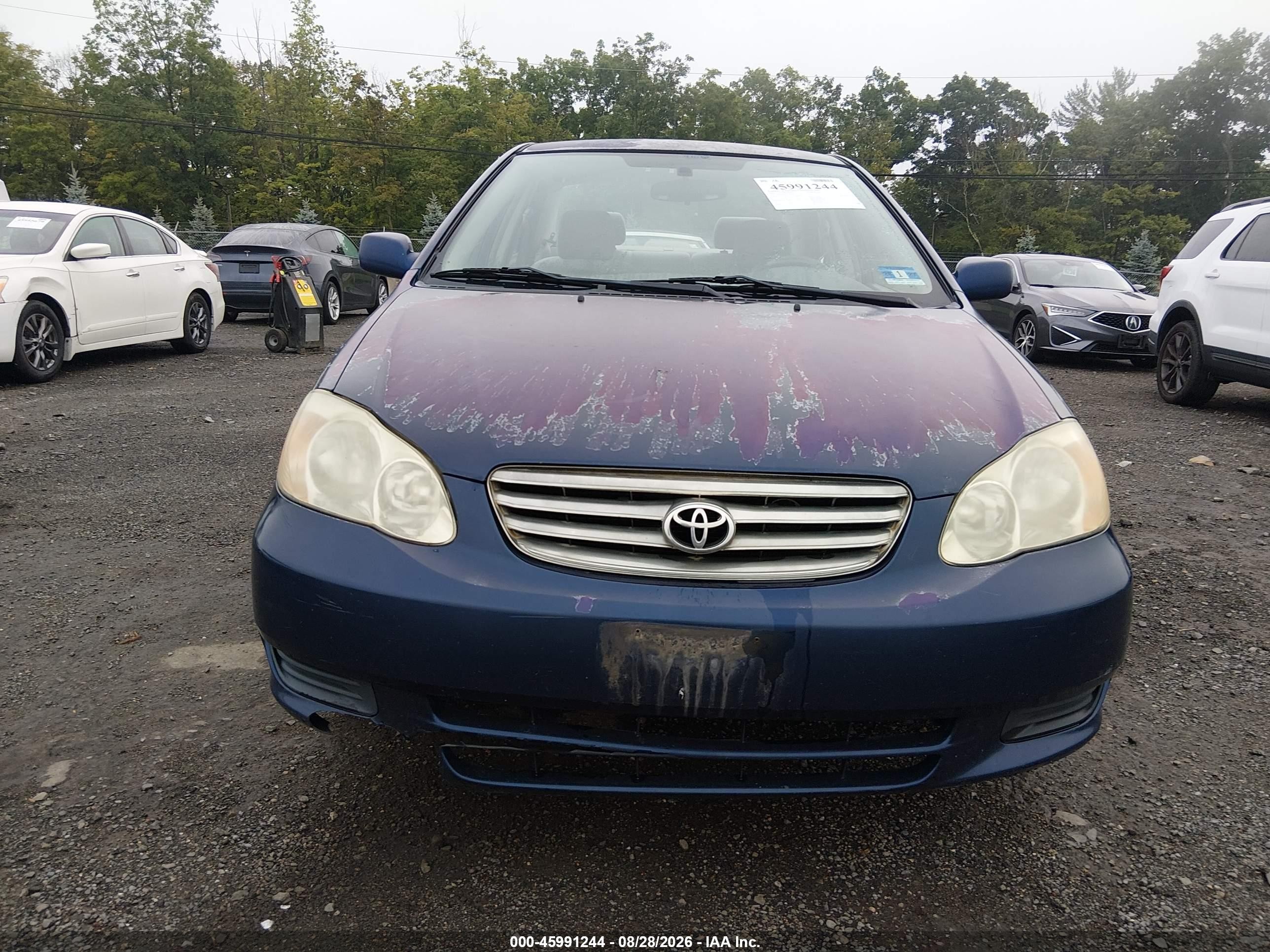 2004 Toyota Corolla Le Синий vin: 2T1BR32EX4C270051