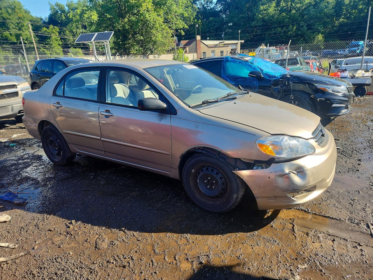 2004 Toyota Corolla Le Золотой vin: 2T1BR38E64C199017