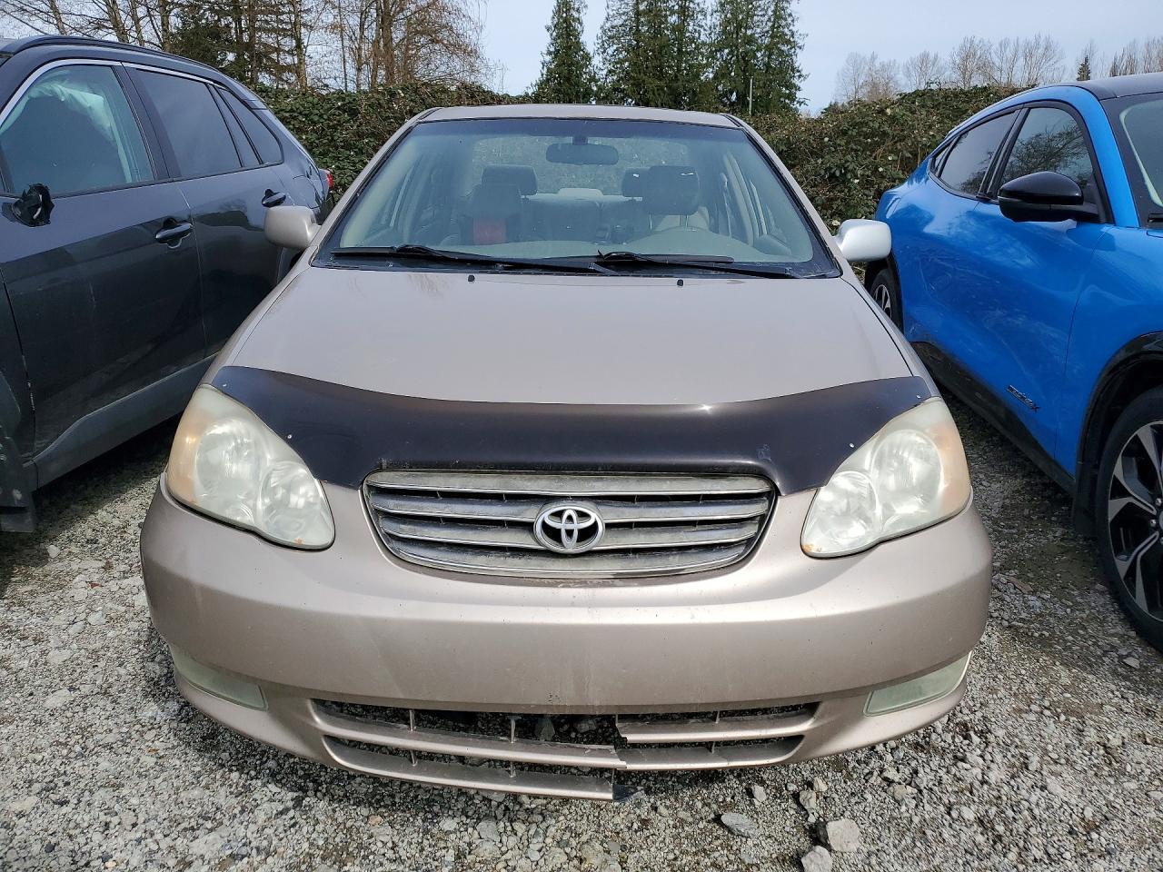 2004 Toyota Corolla Le 4dr Золотой vin: 2T1BR38E64C817145
