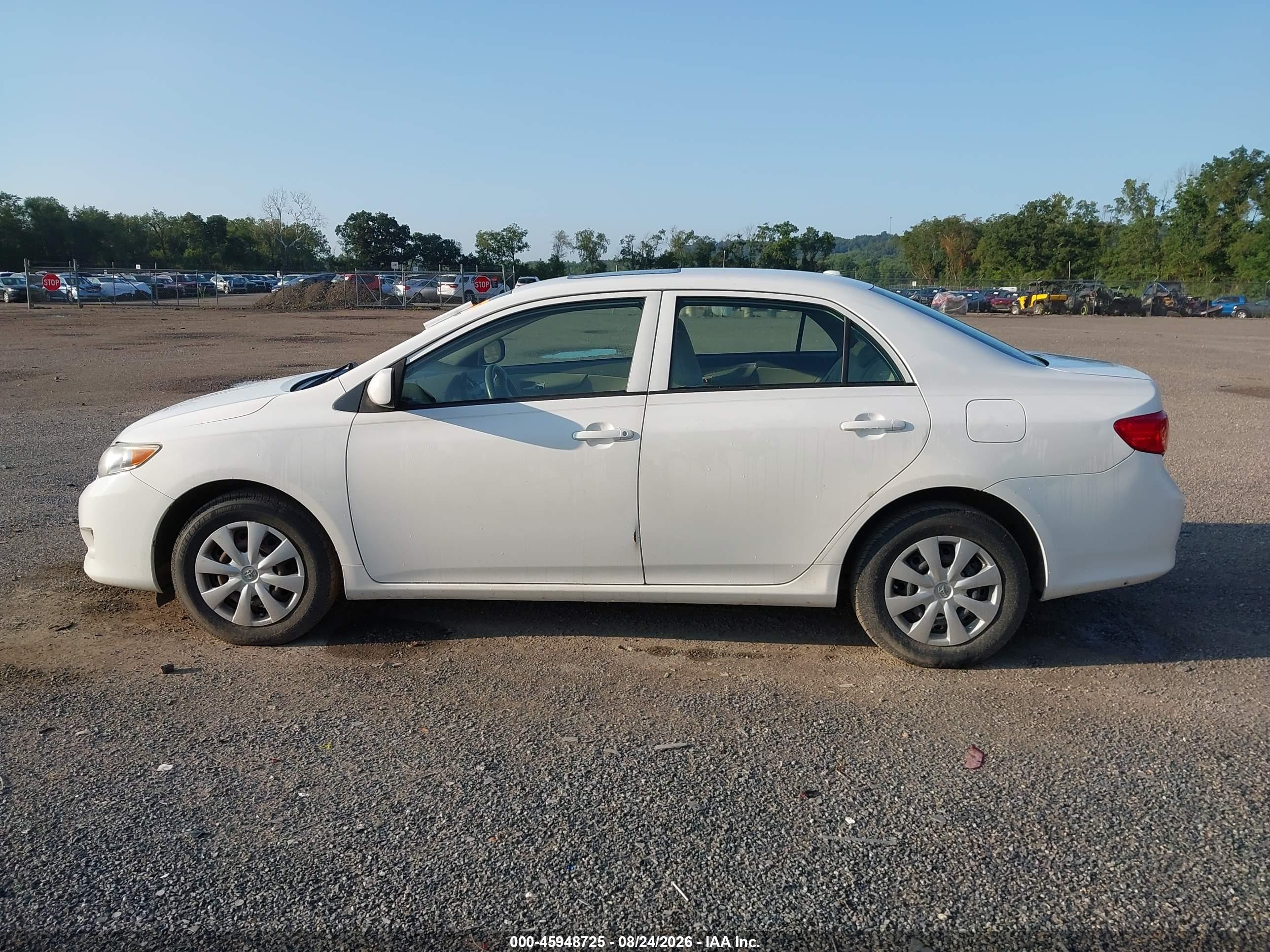 2009 Toyota Corolla Le White vin: 2T1BU40E09C172435