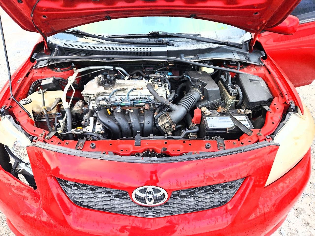 2009 Toyota Corolla Le Red vin: 2T1BU40E49C031755