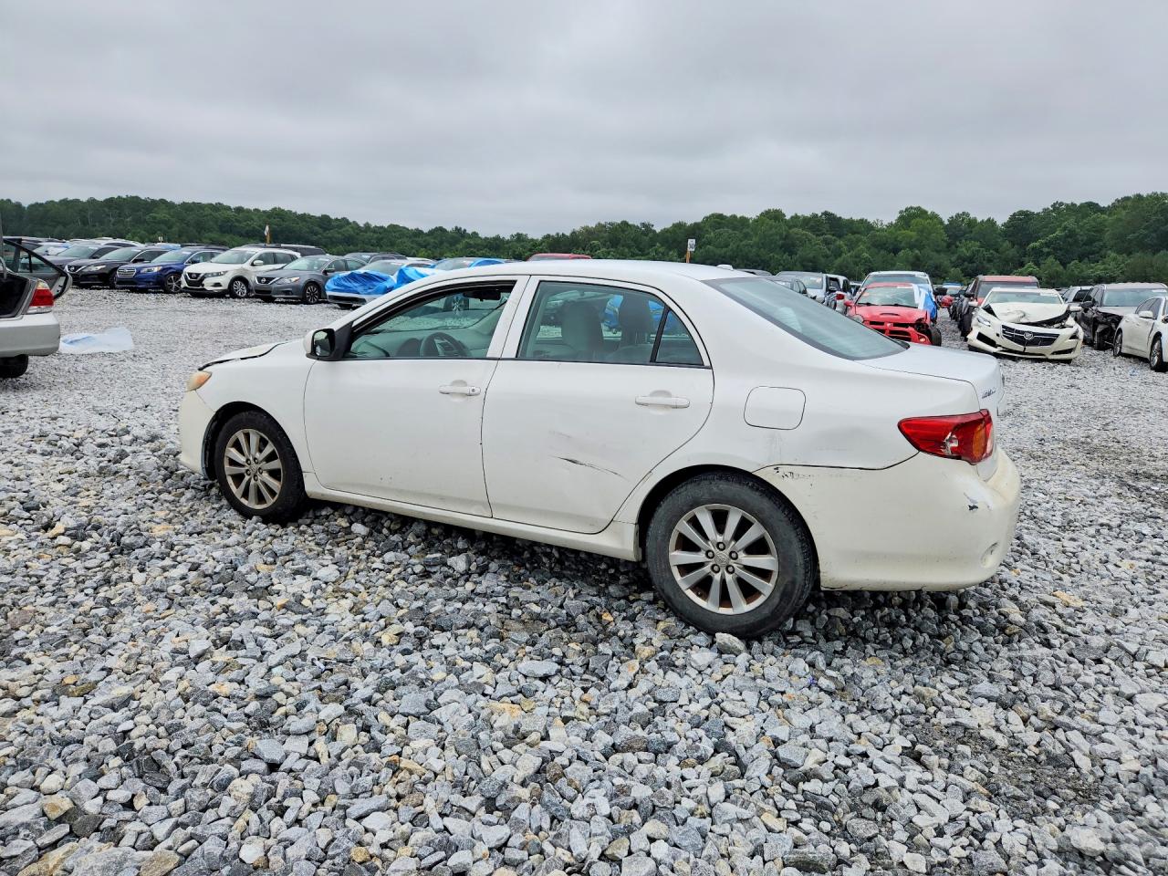 2009 Toyota Corolla Le White vin: 2T1BU40E59C066708
