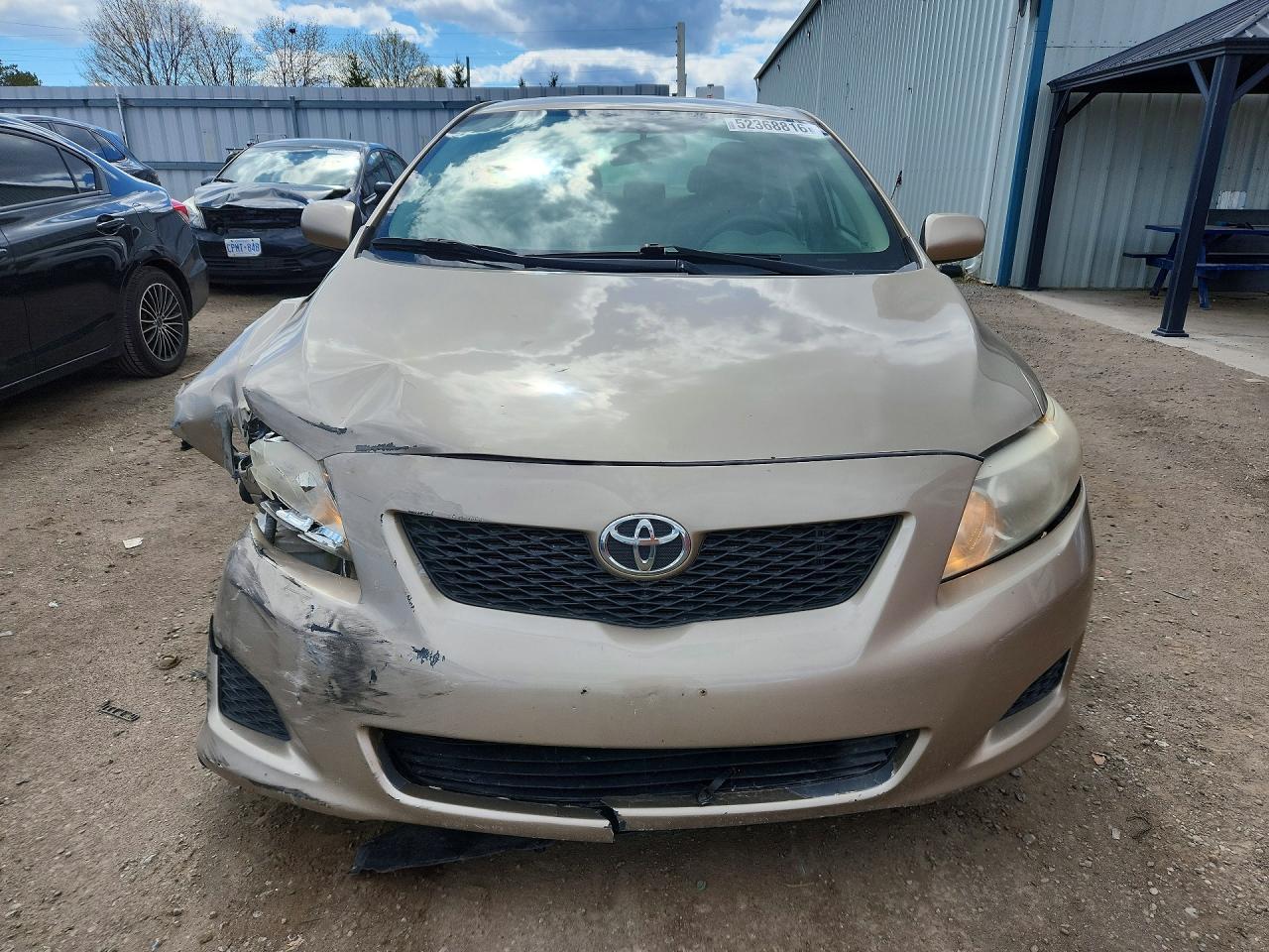 2009 Toyota Corolla Base Gold vin: 2T1BU40E59C186279