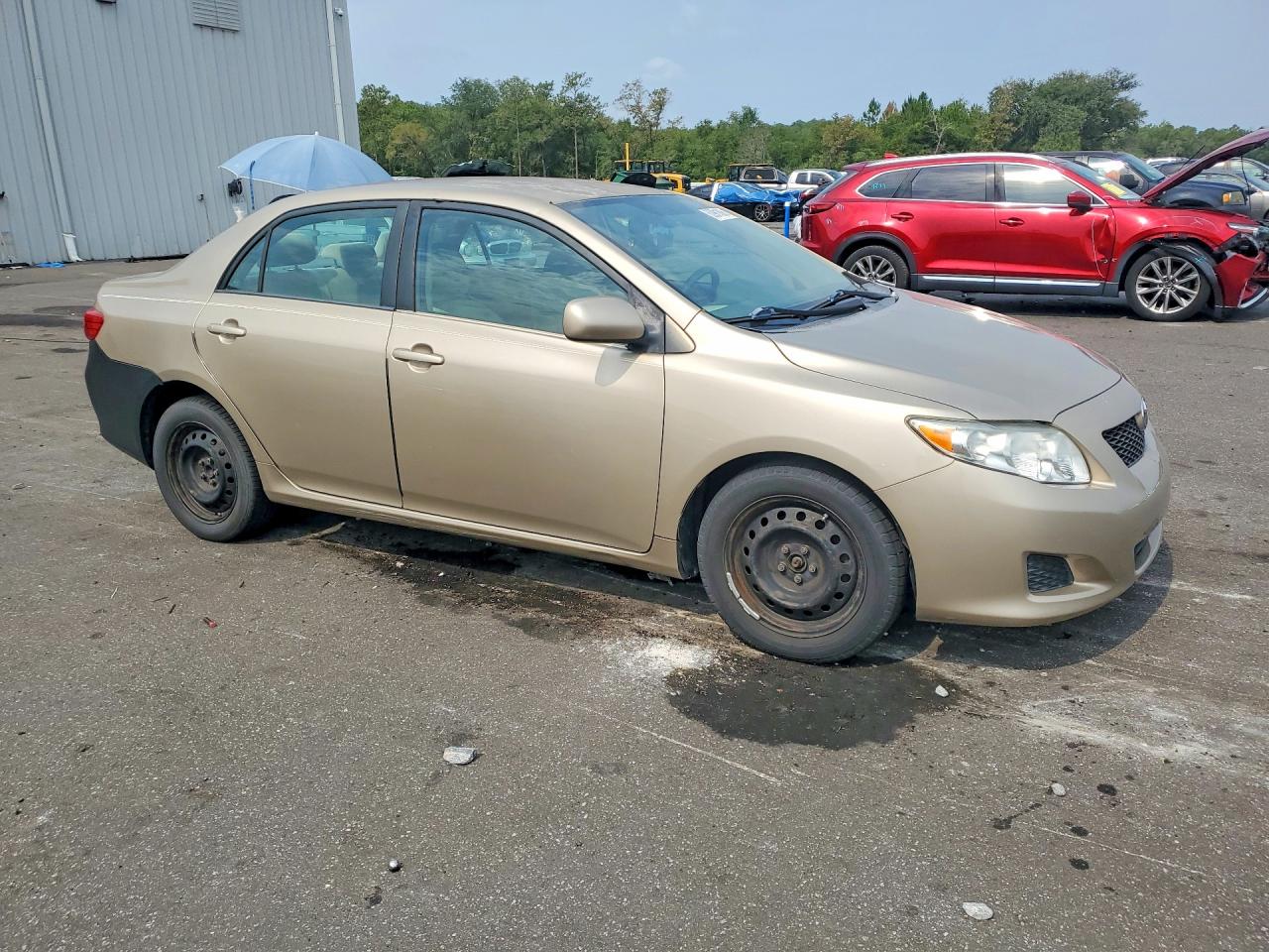 2009 Toyota Corolla Xle Beige vin: 2T1BU40E69C118394