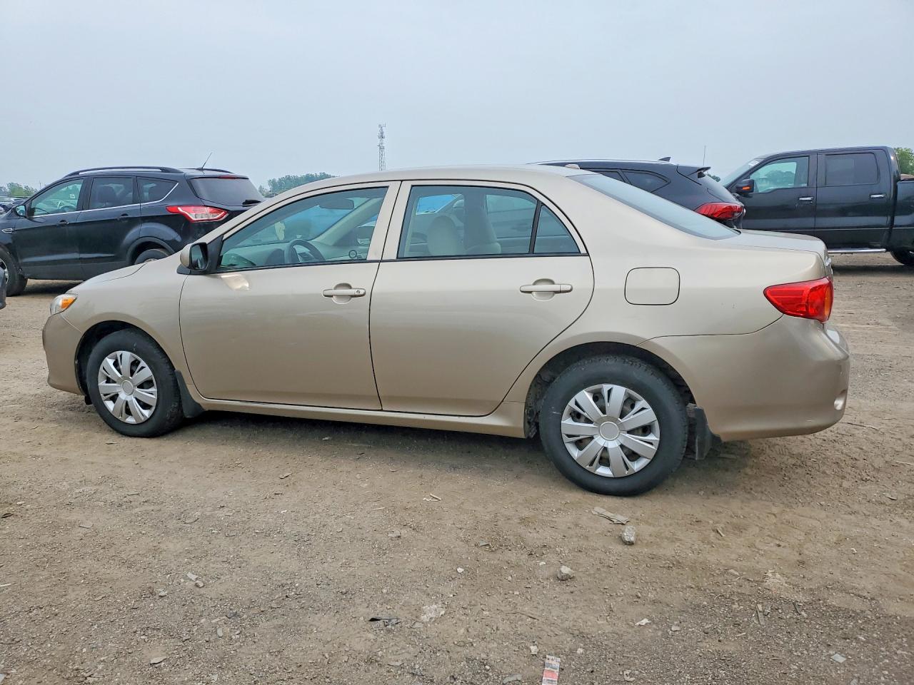 2009 Toyota Corolla Base Золотой vin: 2T1BU40E79C022614