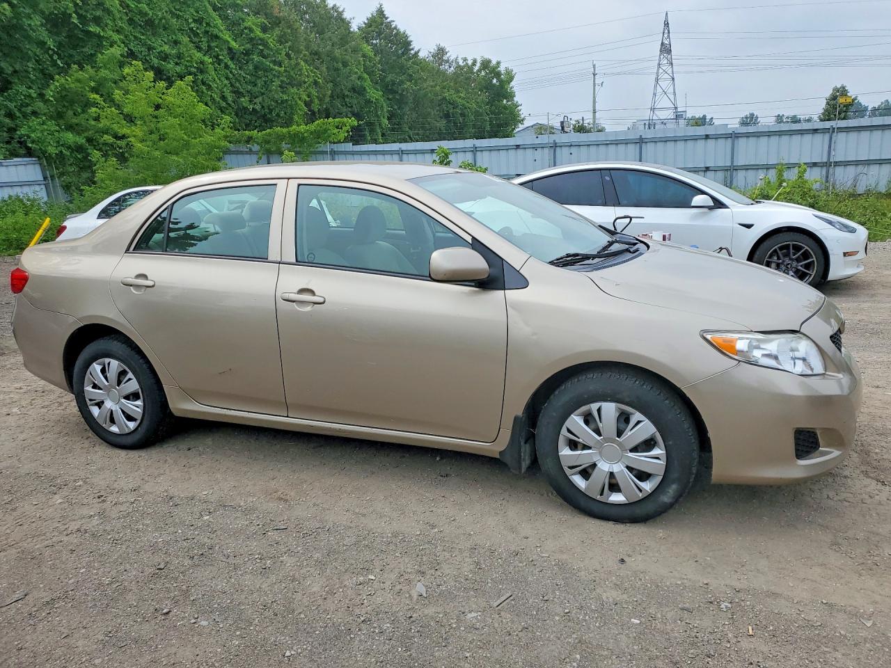 2009 Toyota Corolla Base Золотой vin: 2T1BU40E79C022614