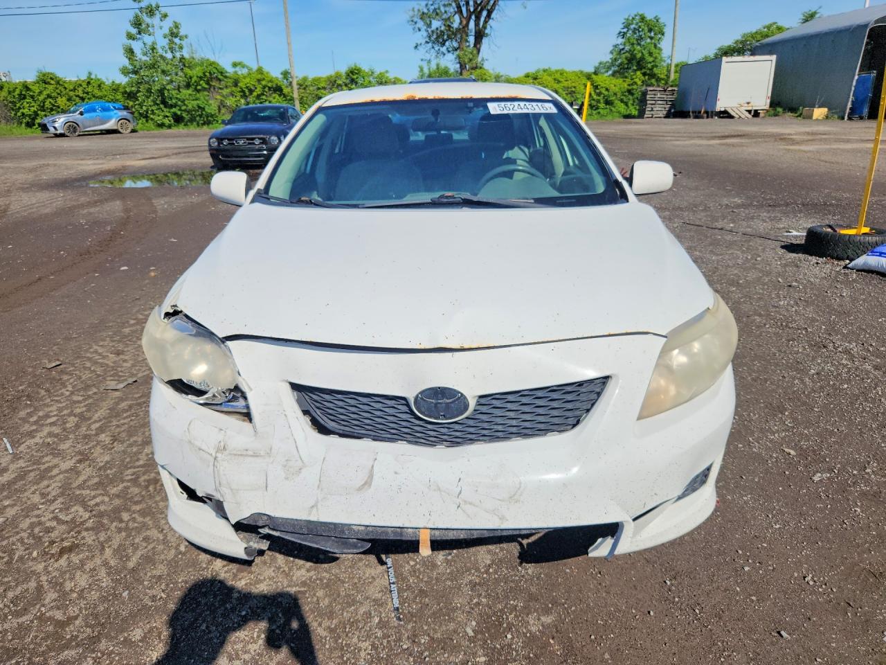2009 Toyota Corolla Base White vin: 2T1BU40E99C075525