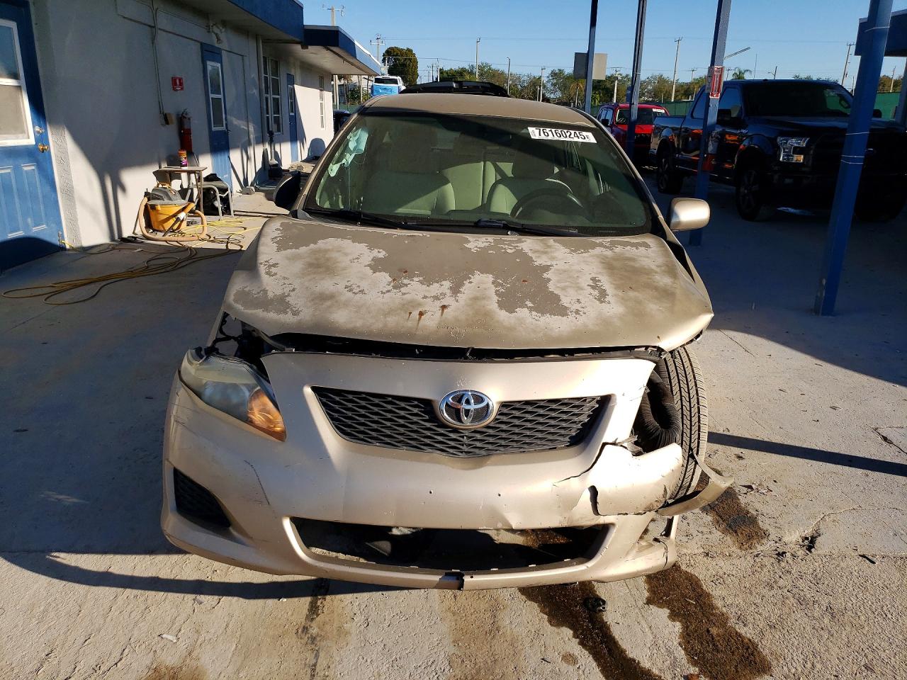 2009 Toyota Corolla Le Gold vin: 2T1BU40EX9C183166