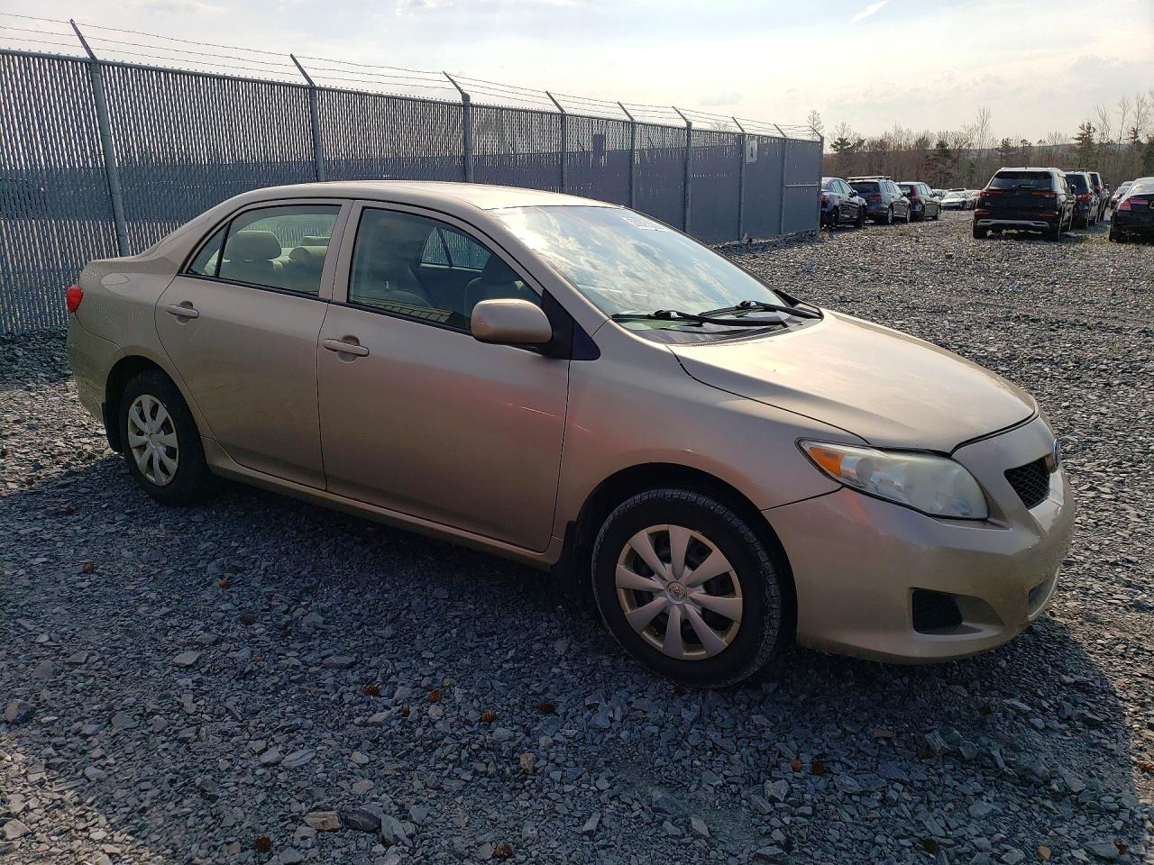 2010 Toyota Corolla Base Tan vin: 2T1BU4EE0AC329670