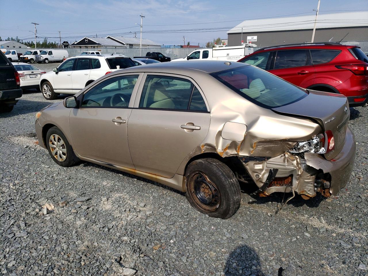 2010 Toyota Corolla Base Tan vin: 2T1BU4EE0AC329670