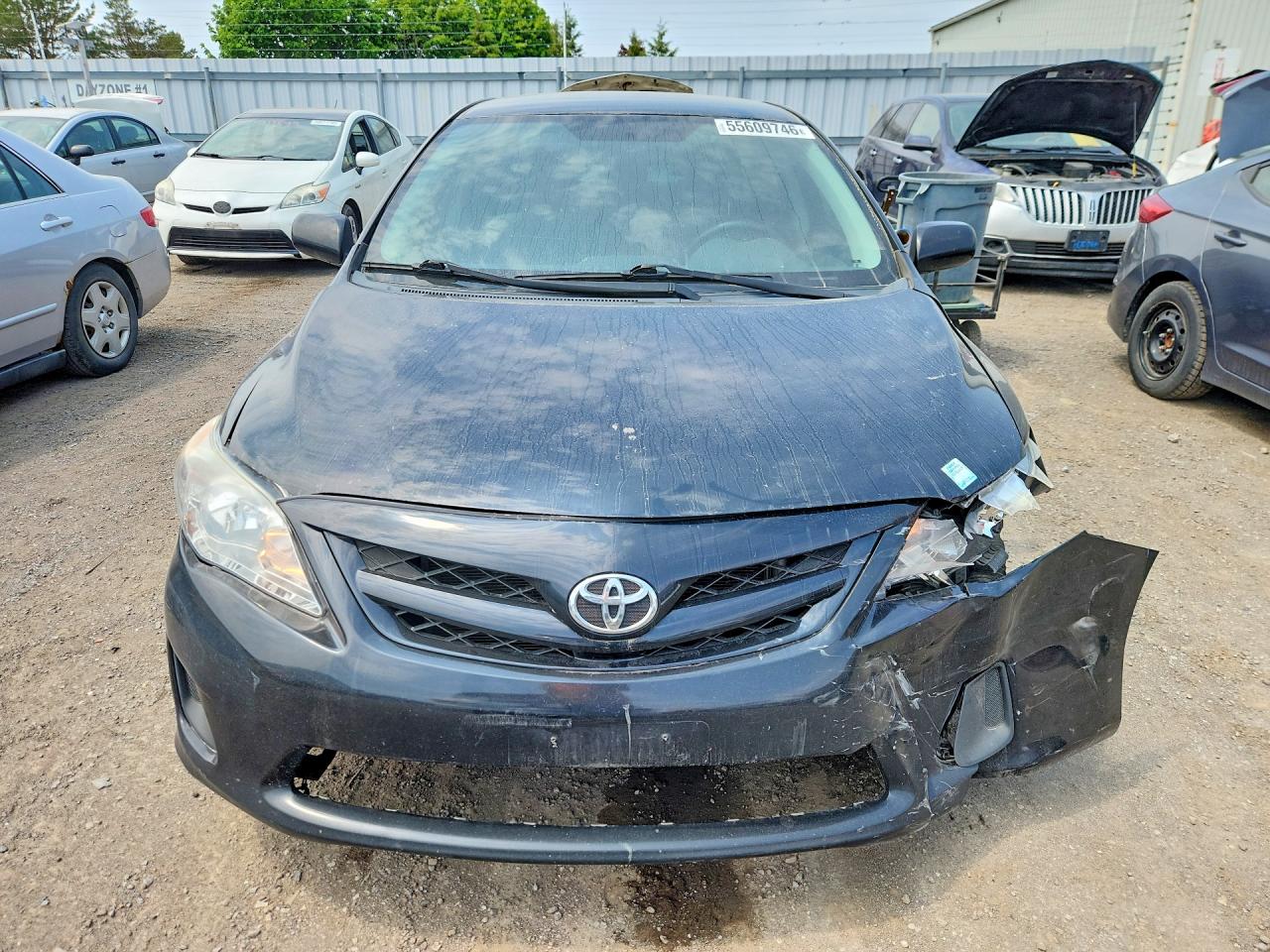 2011 Toyota Corolla Base Black vin: 2T1BU4EE0BC550932
