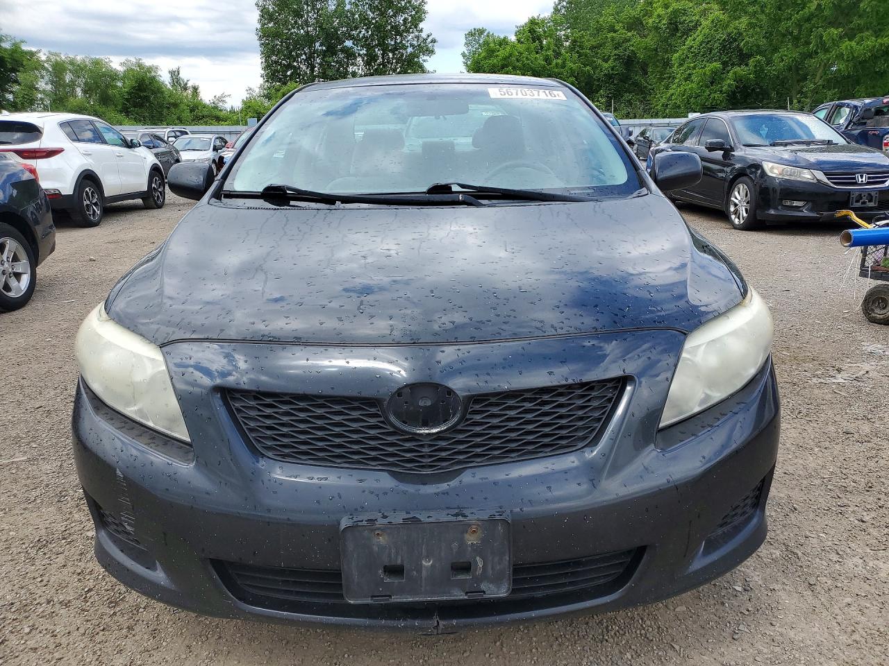 2010 Toyota Corolla Base Black vin: 2T1BU4EE1AC216018