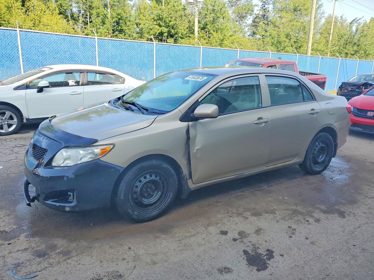 2010 Toyota Corolla Base Two Tone vin: 2T1BU4EE1AC236026