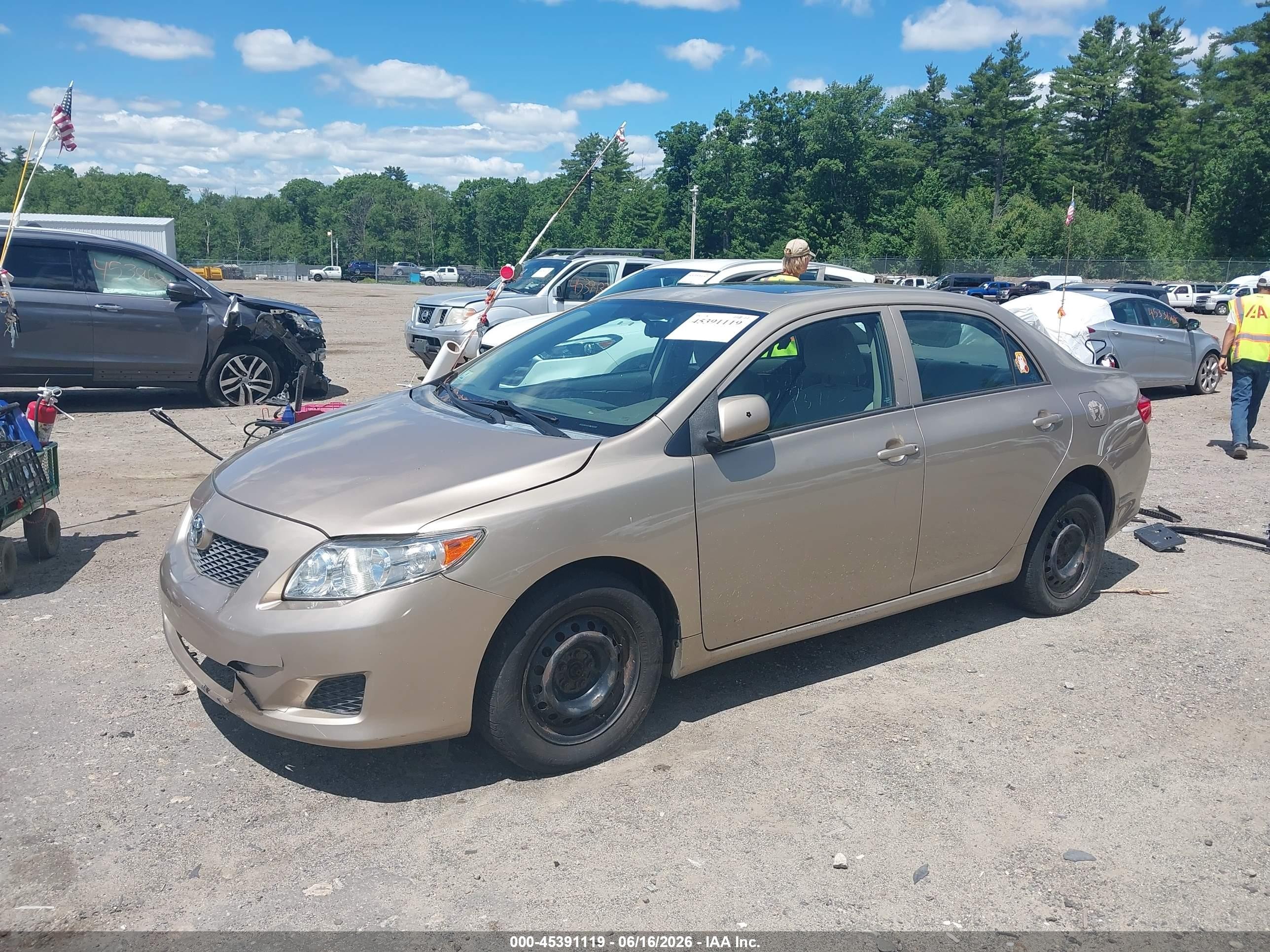 2010 Toyota Corolla Le Gold vin: 2T1BU4EE1AC281290