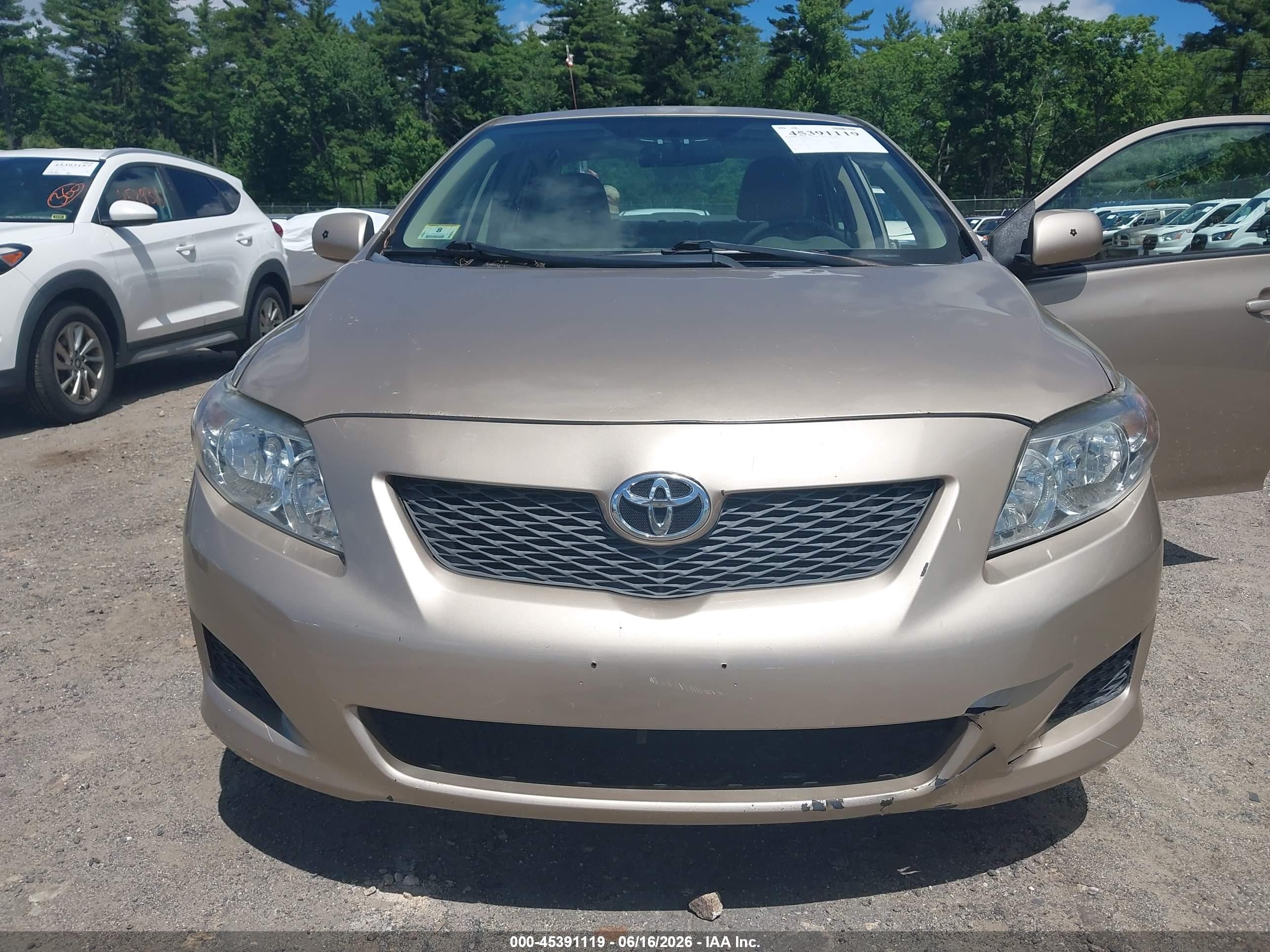 2010 Toyota Corolla Le Gold vin: 2T1BU4EE1AC281290