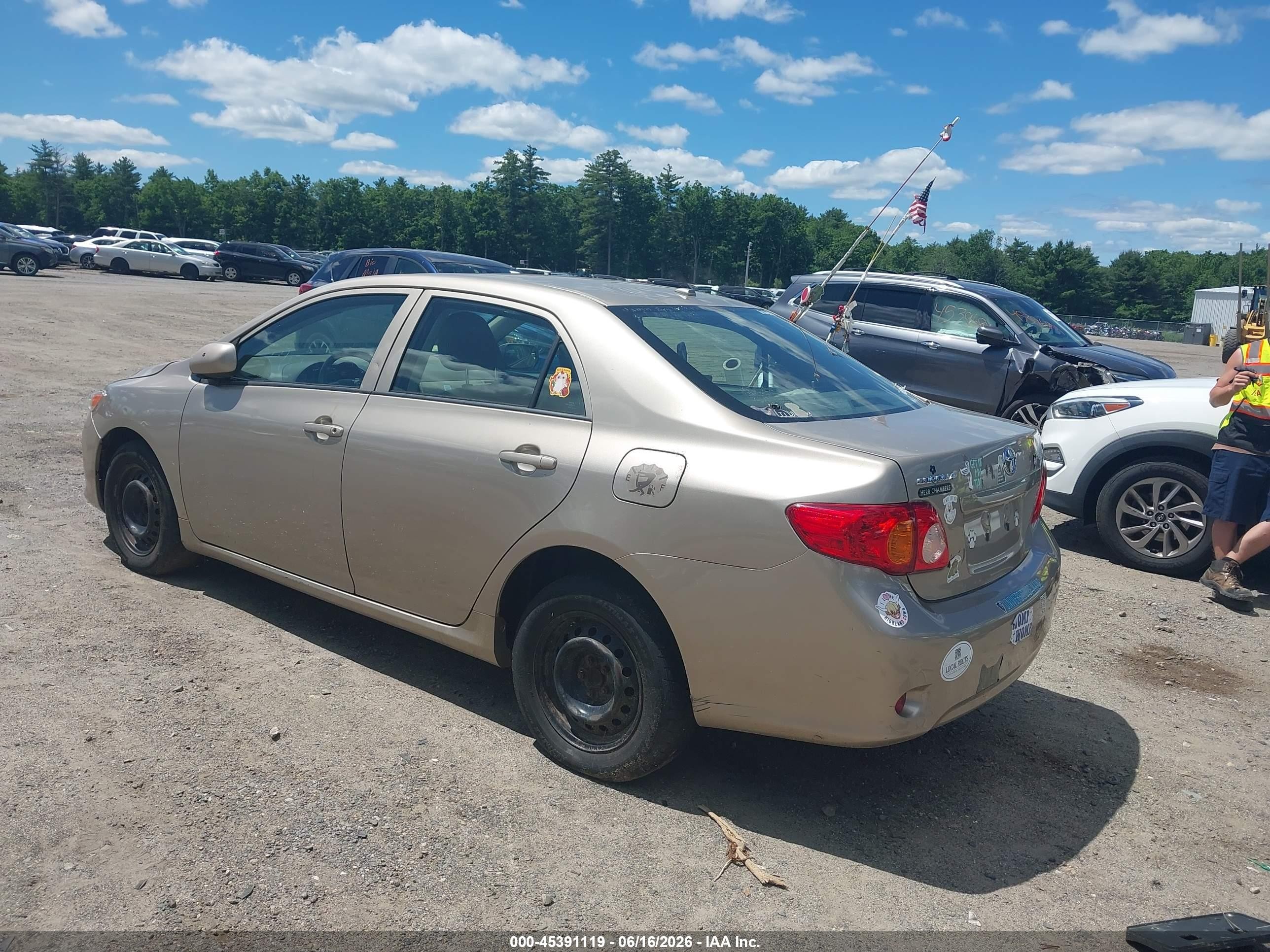 2010 Toyota Corolla Le Gold vin: 2T1BU4EE1AC281290
