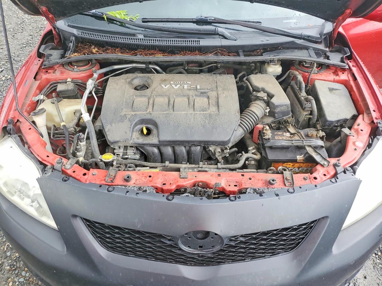 2010 Toyota Corolla Le Red vin: 2T1BU4EE1AC385522