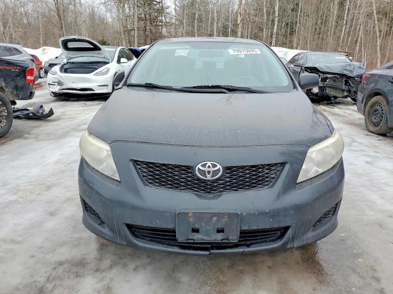 2010 Toyota Corolla Base Black vin: 2T1BU4EE1AC433889