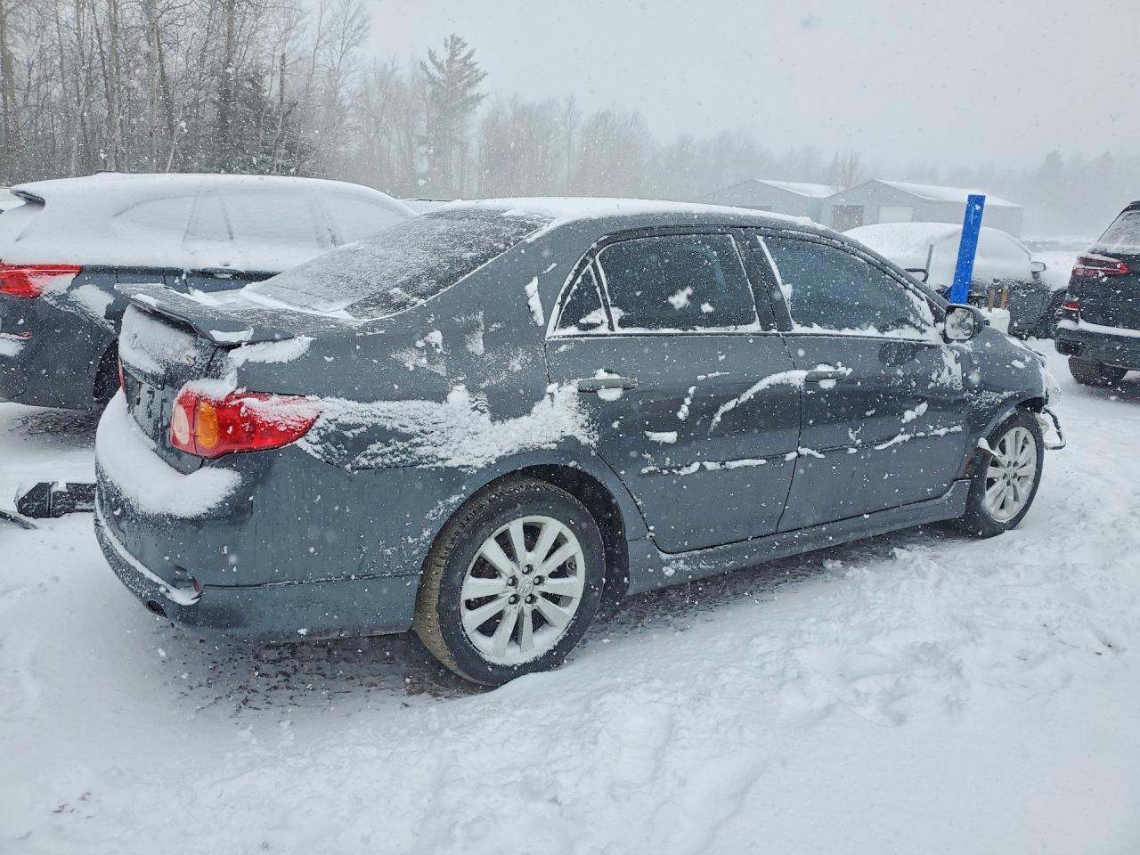 2010 Toyota Corolla Base Gray vin: 2T1BU4EE1AC497091