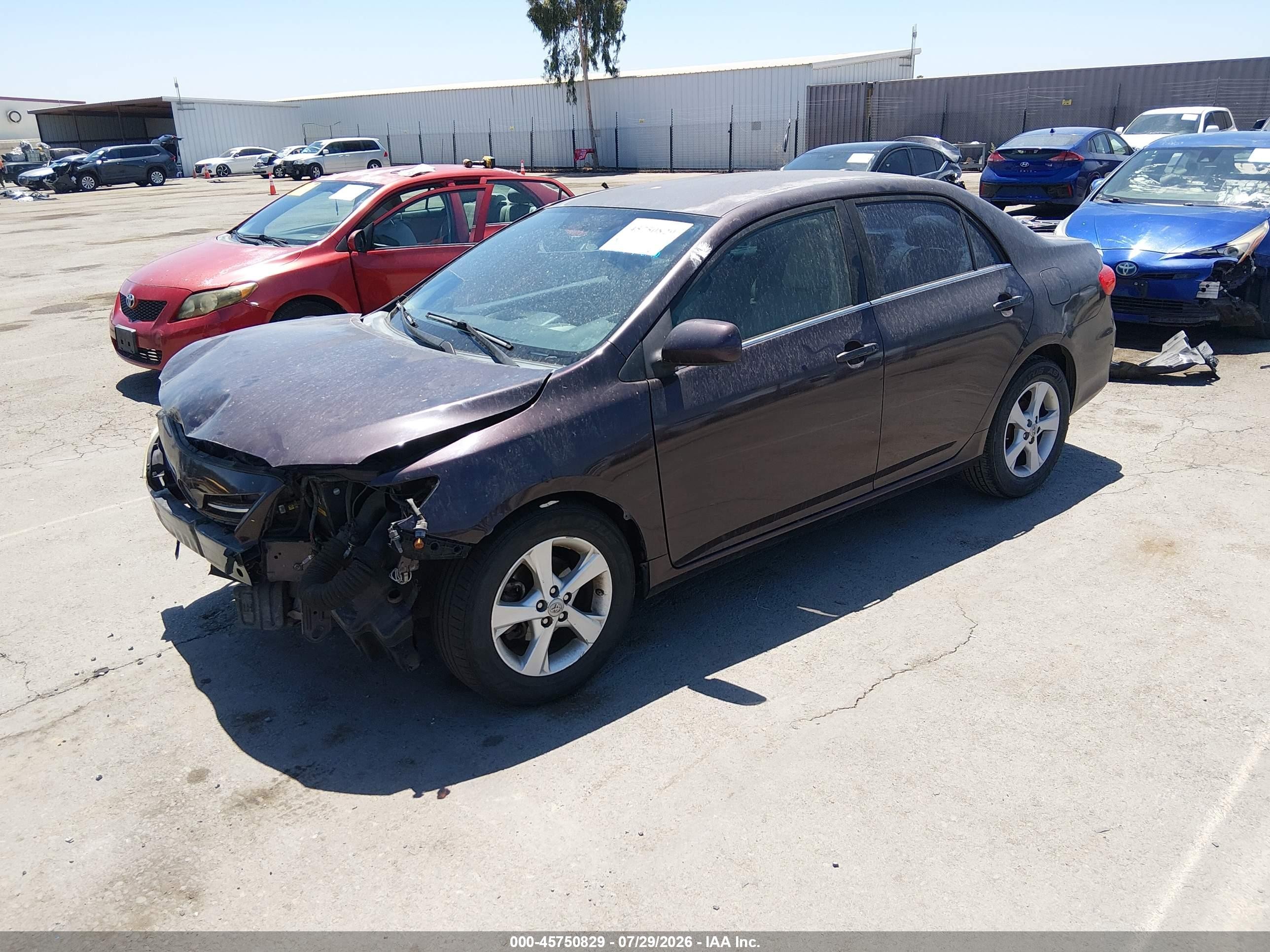 2013 Toyota Corolla Le Special Edition Purple vin: 2T1BU4EE1DC066139