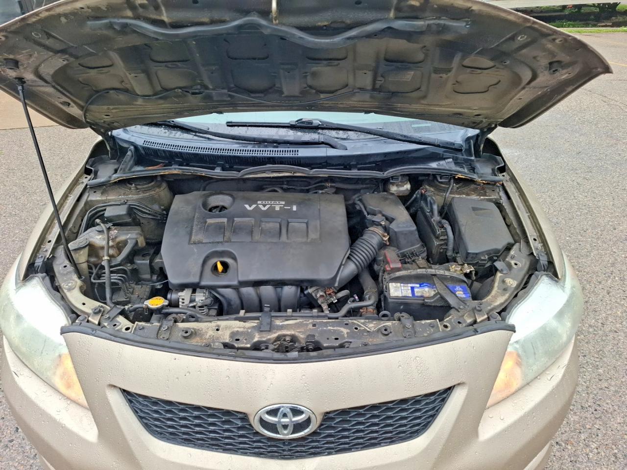 2010 Toyota Corolla Base Gold vin: 2T1BU4EE2AC252848