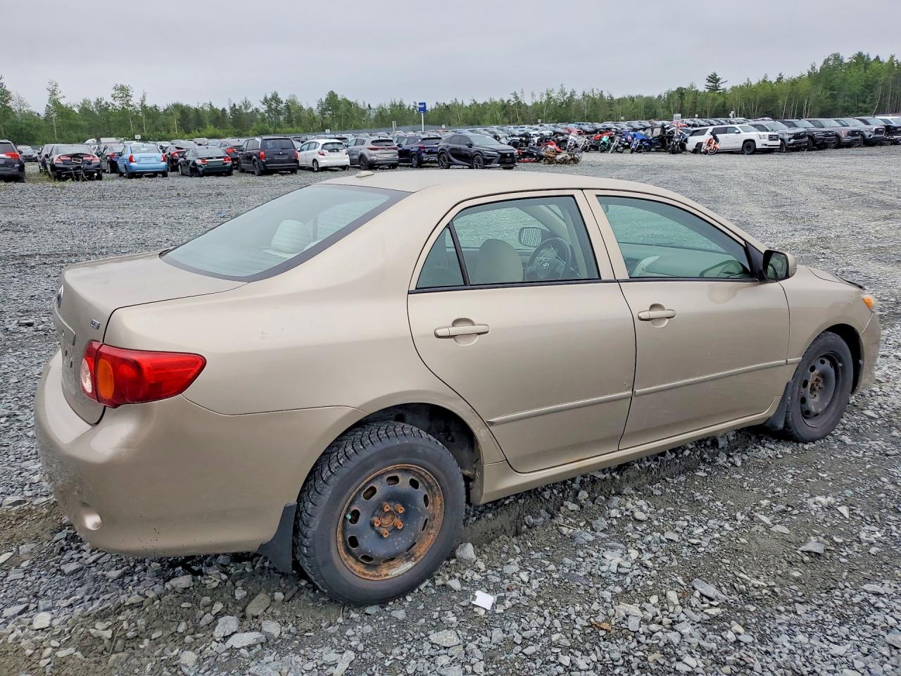 2010 Toyota Corolla Base Золотой vin: 2T1BU4EE3AC193552
