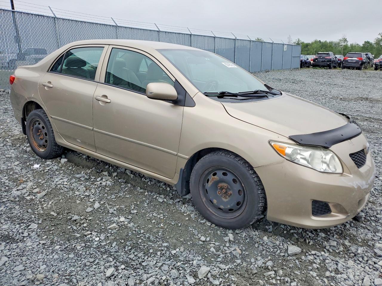 2010 Toyota Corolla Base Золотой vin: 2T1BU4EE3AC193552