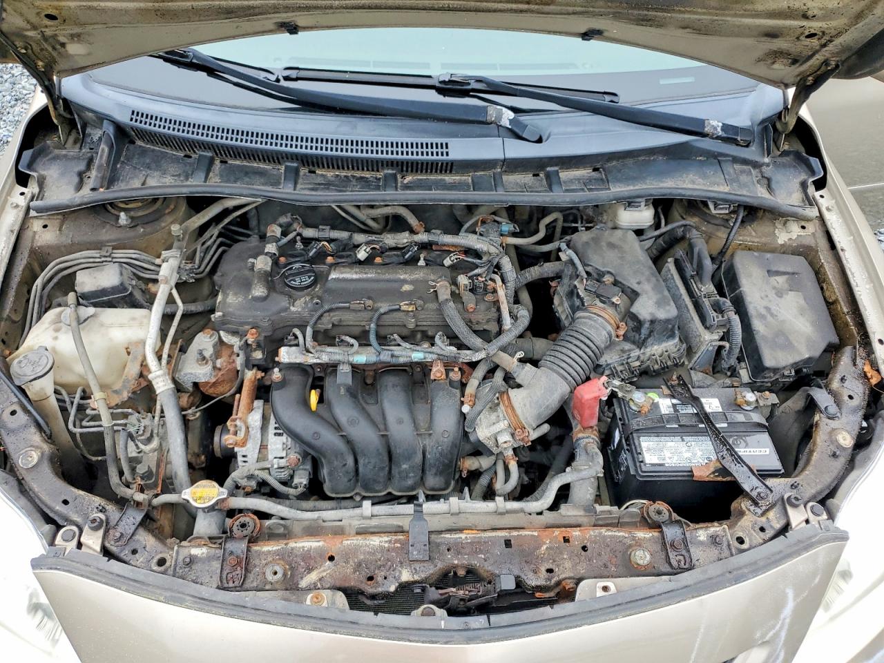 2010 Toyota Corolla Base Золотой vin: 2T1BU4EE3AC193552
