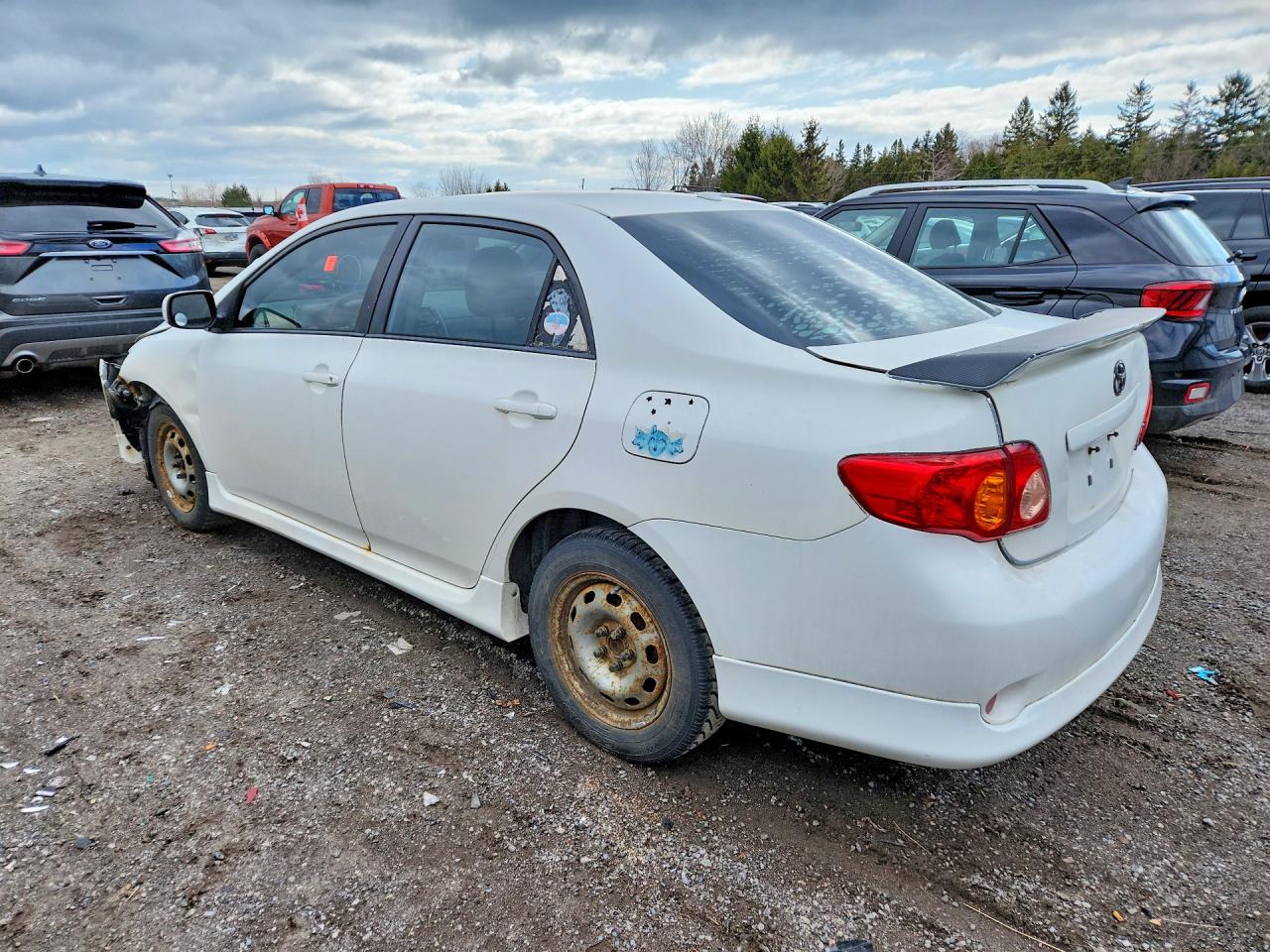 2010 Toyota Corolla Base White vin: 2T1BU4EE3AC235332