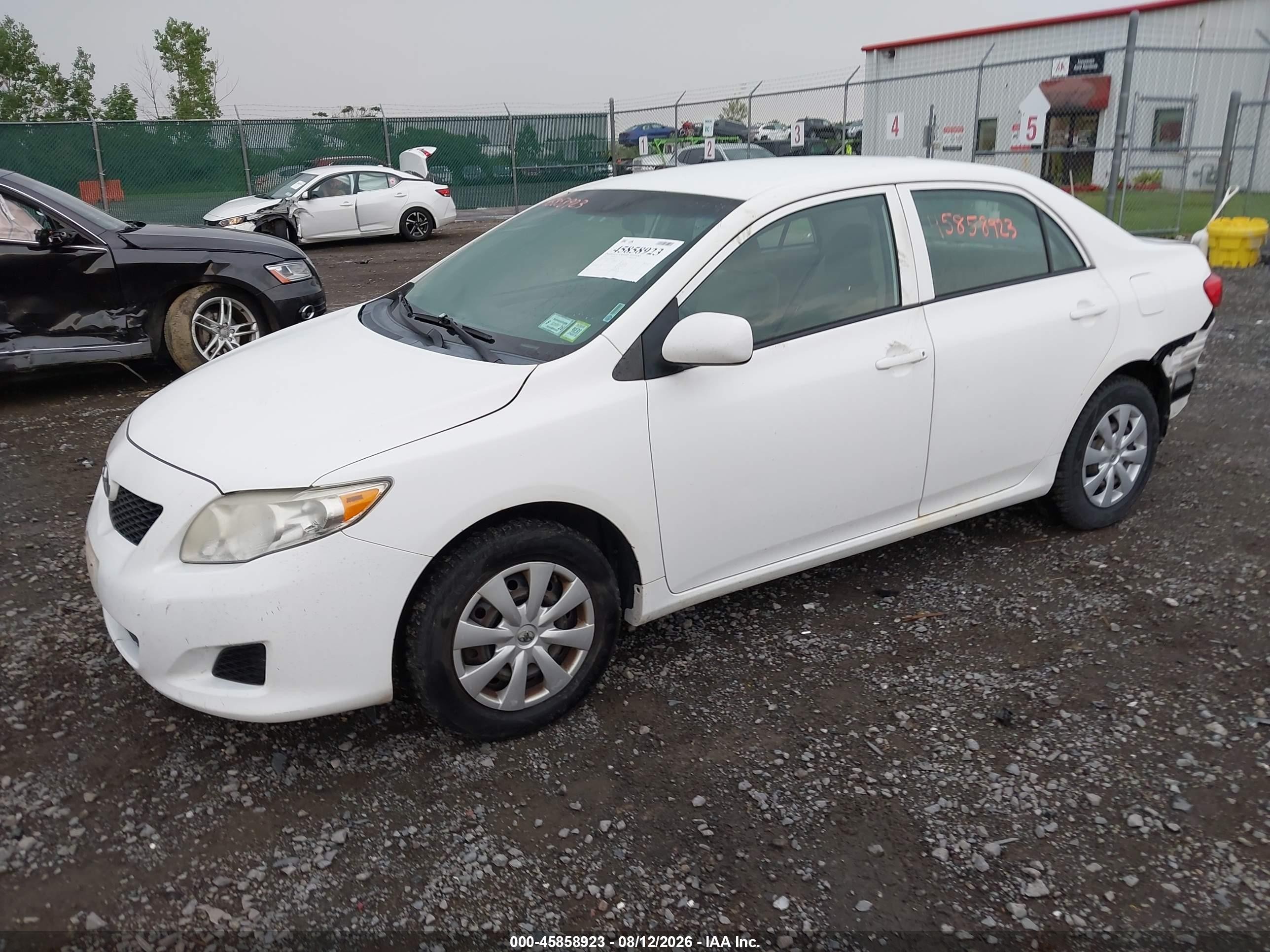 2010 Toyota Corolla Le White vin: 2T1BU4EE3AC263485