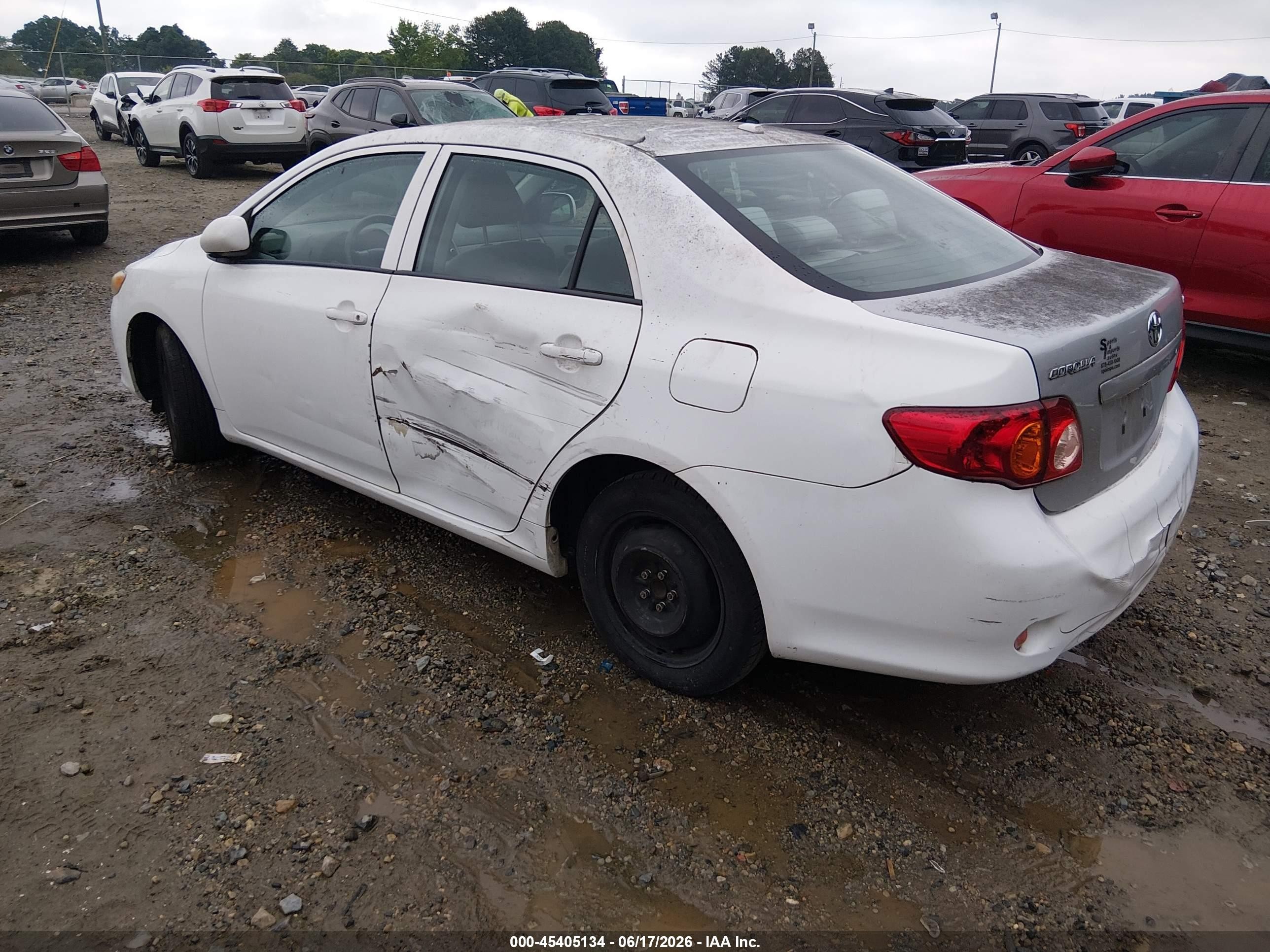 2010 Toyota Corolla Le White vin: 2T1BU4EE3AC420125