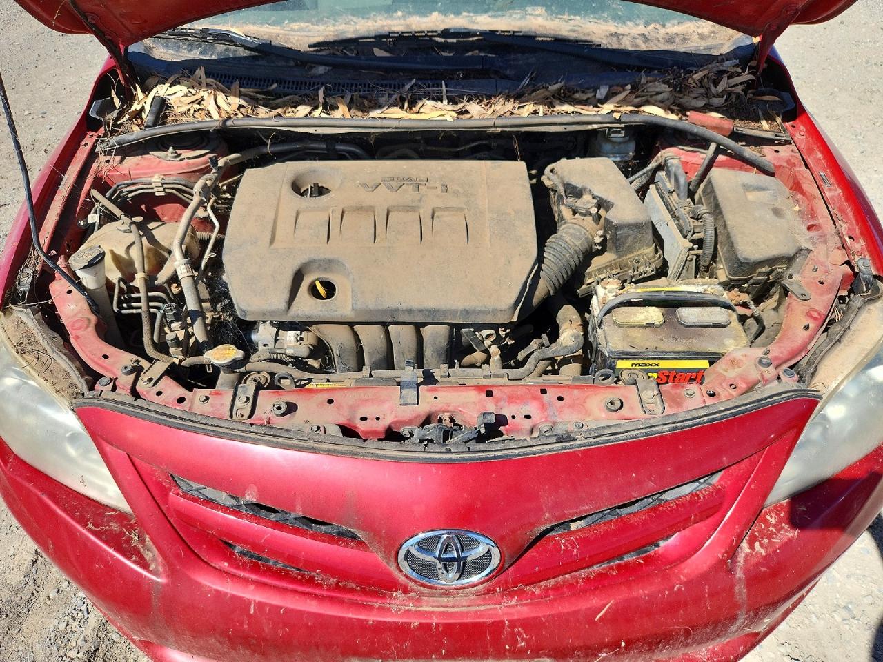 2011 Toyota Corolla Le Red vin: 2T1BU4EE3BC542713