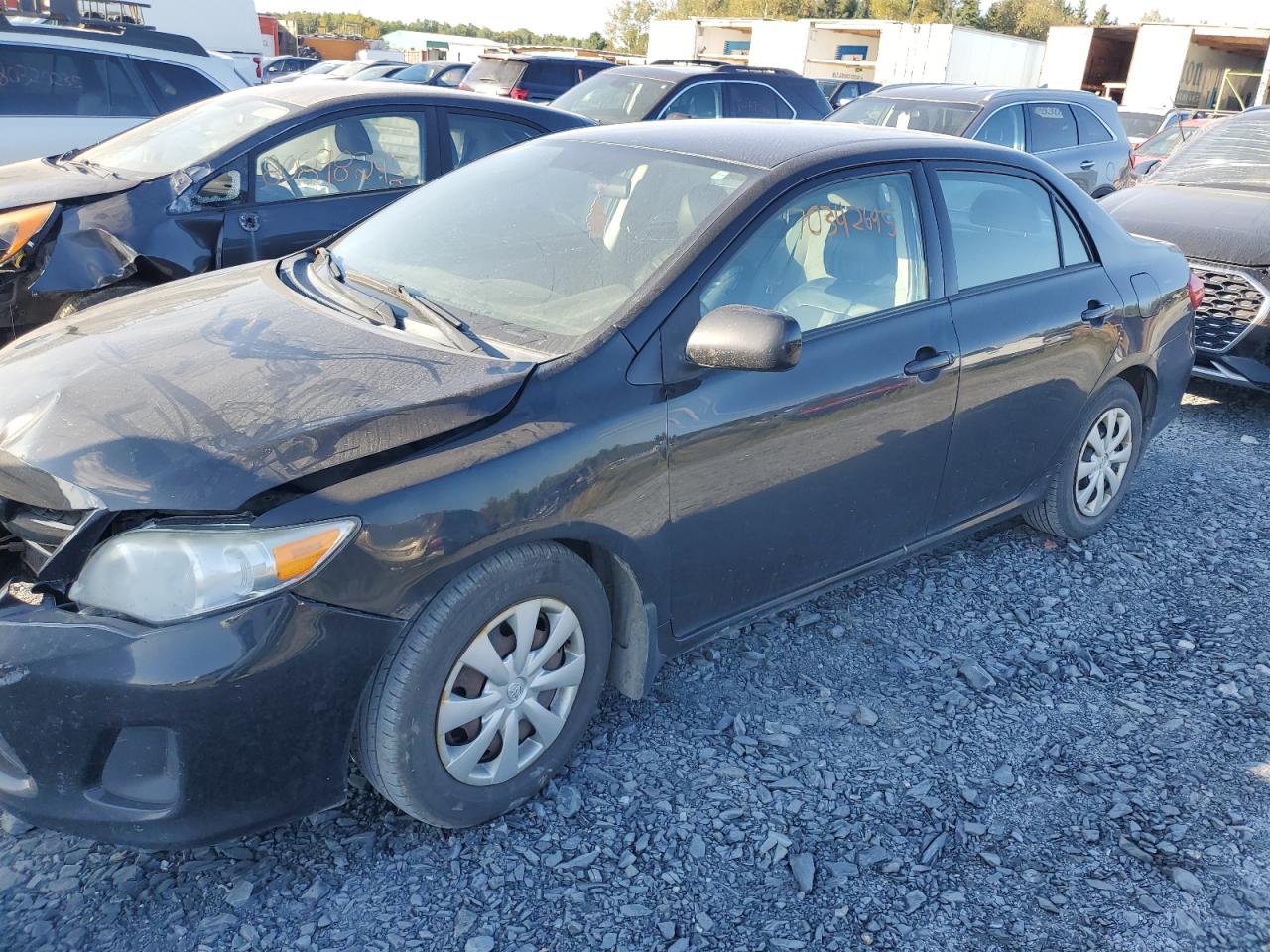 2011 Toyota Corolla Black vin: 2T1BU4EE3BC698055